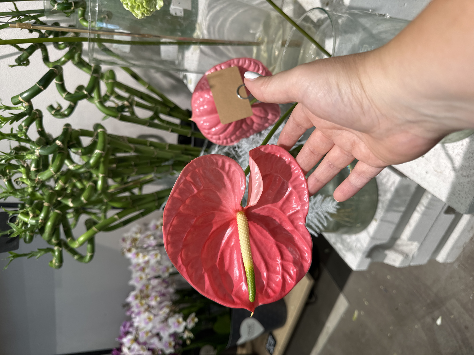 The image depicts a close-up of a hand holding a vibrant pink anthurium flower in what appears to be a flower shop or floral arrangement setting. The anthurium, with its glossy spathe and spadix, is the primary focus. Behind it, a bouquet of orchids with white and purple blooms is visible, along with a tall arrangement of spiraling green lucky bamboo stalks in a clear glass vase. Another pink anthurium with a small brown tag is also present. The background shows a blurred retail environment with shelving and other floral displays. The hand, with painted white fingernails, is gently supporting the anthurium, and its fingers are slightly curled around the stem. The lighting suggests an indoor environment, possibly with overhead lighting. No specific location in Krefeld, Germany is identifiable from the visual information provided.