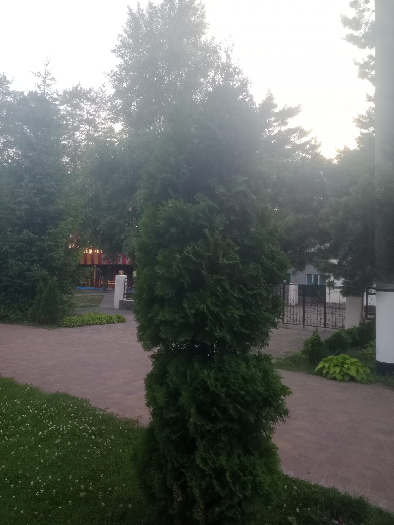 This is a medium-shot, outdoor, daytime photograph taken in Horishni Plavni, Ukraine. The image features a well-maintained park area with a paved pathway and a grassy lawn dotted with small white flowers. In the foreground, a large, dark green evergreen tree stands prominently. Beyond the tree, the pathway curves to the left, leading towards a playground structure with colorful elements. A wrought-iron gate and a building with a white facade are visible in the background on the right. The sky is overcast and hazy, suggesting potentially damp or foggy conditions. There are no people visible in the image.