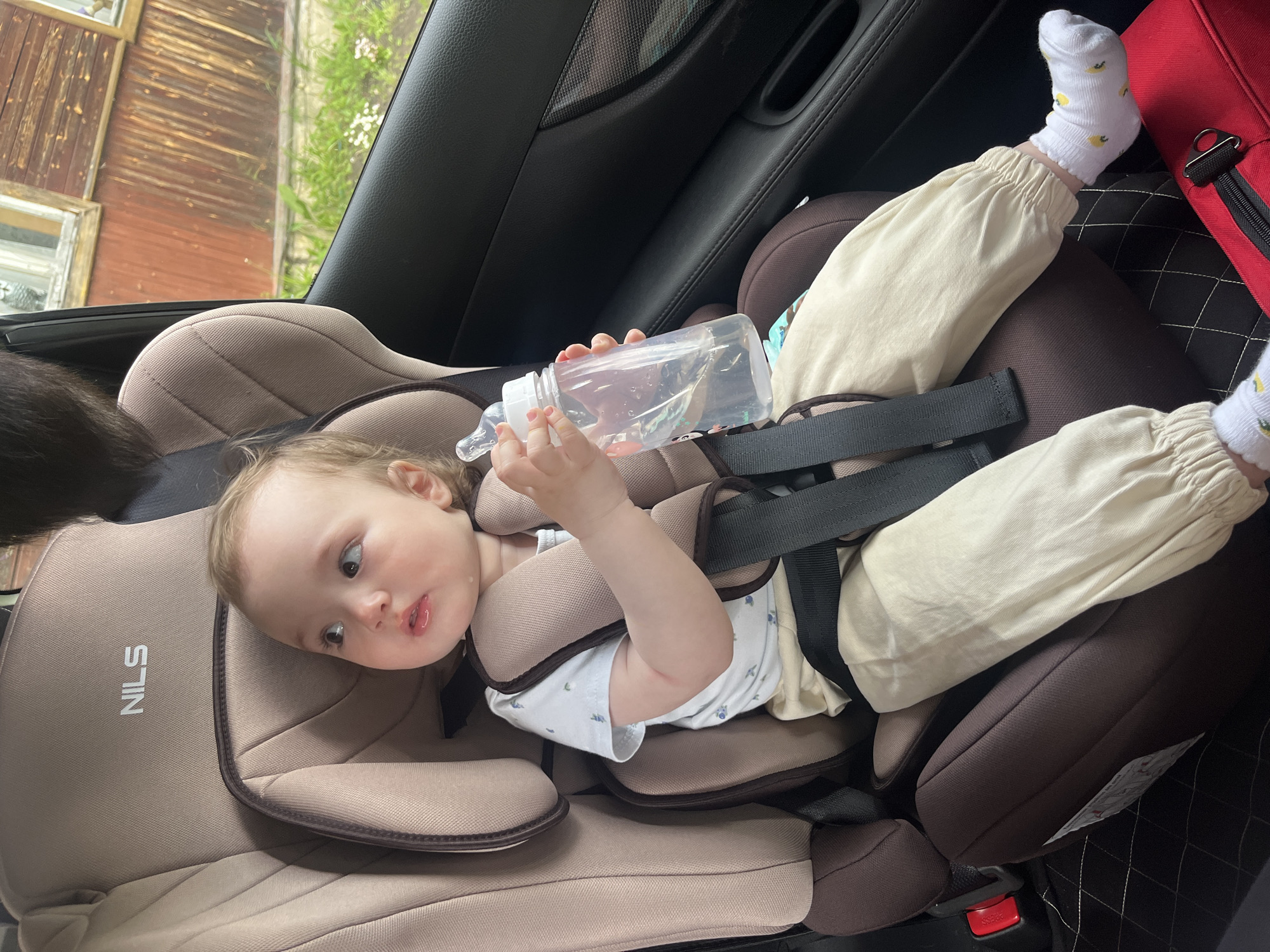 A light-haired toddler is secured in a forward-facing NILS brand car seat within a vehicle in Мшинская, Russia. The child wears a light-colored short-sleeved t-shirt with subtle blue patterns, beige drawstring pants, and white socks adorned with yellow lemon designs. A superficial linear abrasion is visible on the child's right forearm. The car seat is taupe and dark brown, utilizing a 5-point harness system. The child holds a transparent baby bottle containing water in both hands, gazing upwards and to the right, towards the exterior. The vehicle's dark interior features a textured door panel and a diamond-quilted floor protector beneath the car seat. Outside the window, a portion of a rustic wooden building with reddish-brown paneling and a landscape of green grass interspersed with small white flowers are discernible, consistent with a rural or semi-rural environment. A red bag is partially visible on the car floor in the lower right foreground.
