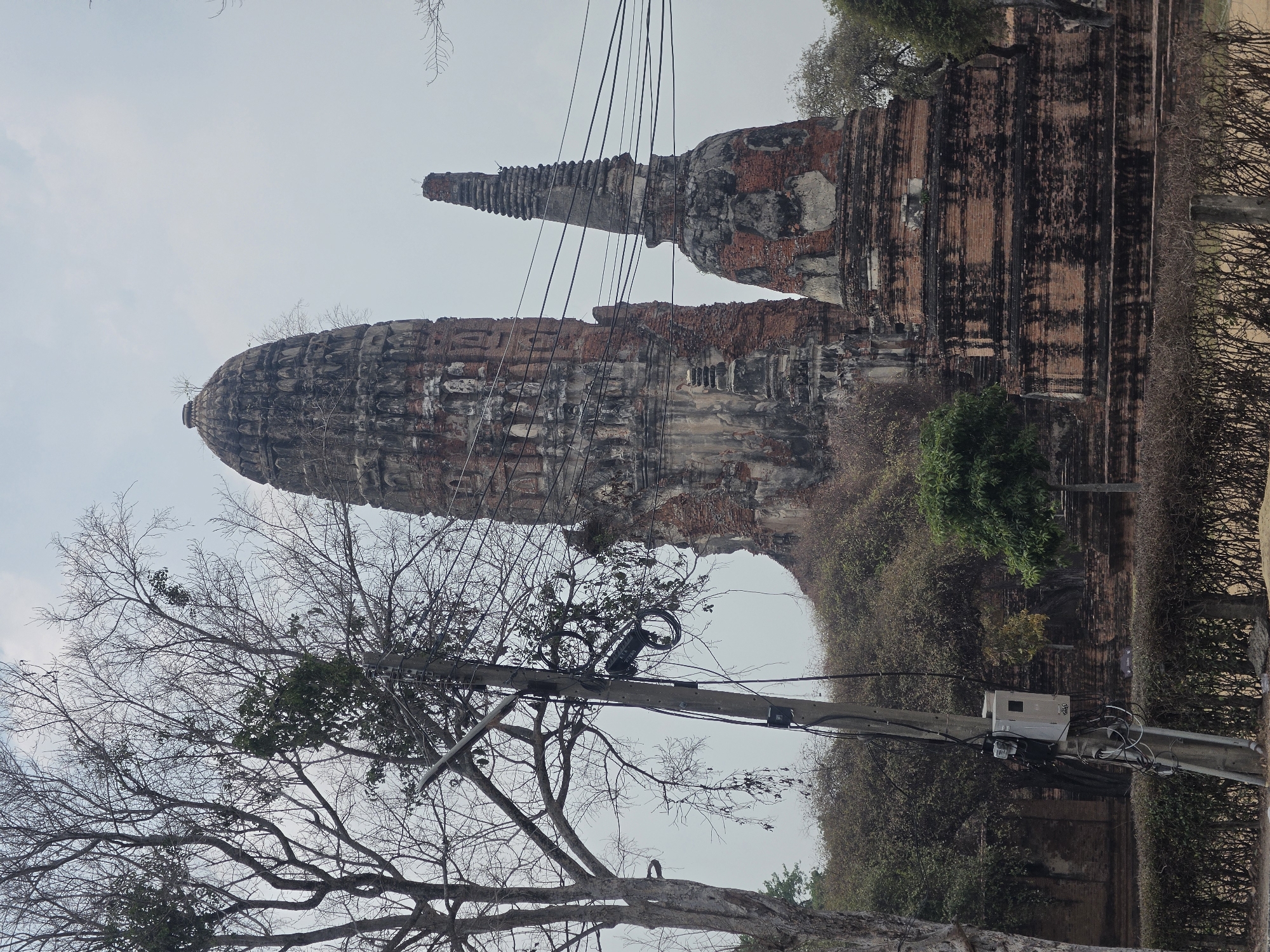 The image, taken during daytime under an overcast or hazy sky, captures a historical site featuring ancient brick structures. In the background, two weathered pagodas (chedi or prangs), characteristic of Thai temple architecture, stand as prominent subjects. The larger pagoda on the left has a dome-like top and intricate brickwork, while the smaller one on the right is more slender and pointed. Both show significant signs of age and deterioration with exposed, crumbling brick.
In the mid-ground and foreground, a large tree with mostly bare branches dominates the left side, indicating either a dry season or a deciduous species. To the right, a utility pole heavily laden with multiple black electrical wires and cables extends upwards. Attached to this pole are various pieces of equipment, including a white rectangular box where faint text, possibly "CATV" and numbers like "2768", can be vaguely seen on a label. Dense green foliage and dry shrubbery form a natural boundary on the far right, near the base of the ancient ruins.
No human activity or events are taking place; the scene is static, focusing on the blend of ancient architecture and modern infrastructure. The location context suggests this is likely a ruin in Phra Nakhon Si Ayutthaya City Municipality, Thailand. The photograph is oriented vertically, but the content suggests a horizontal perspective.