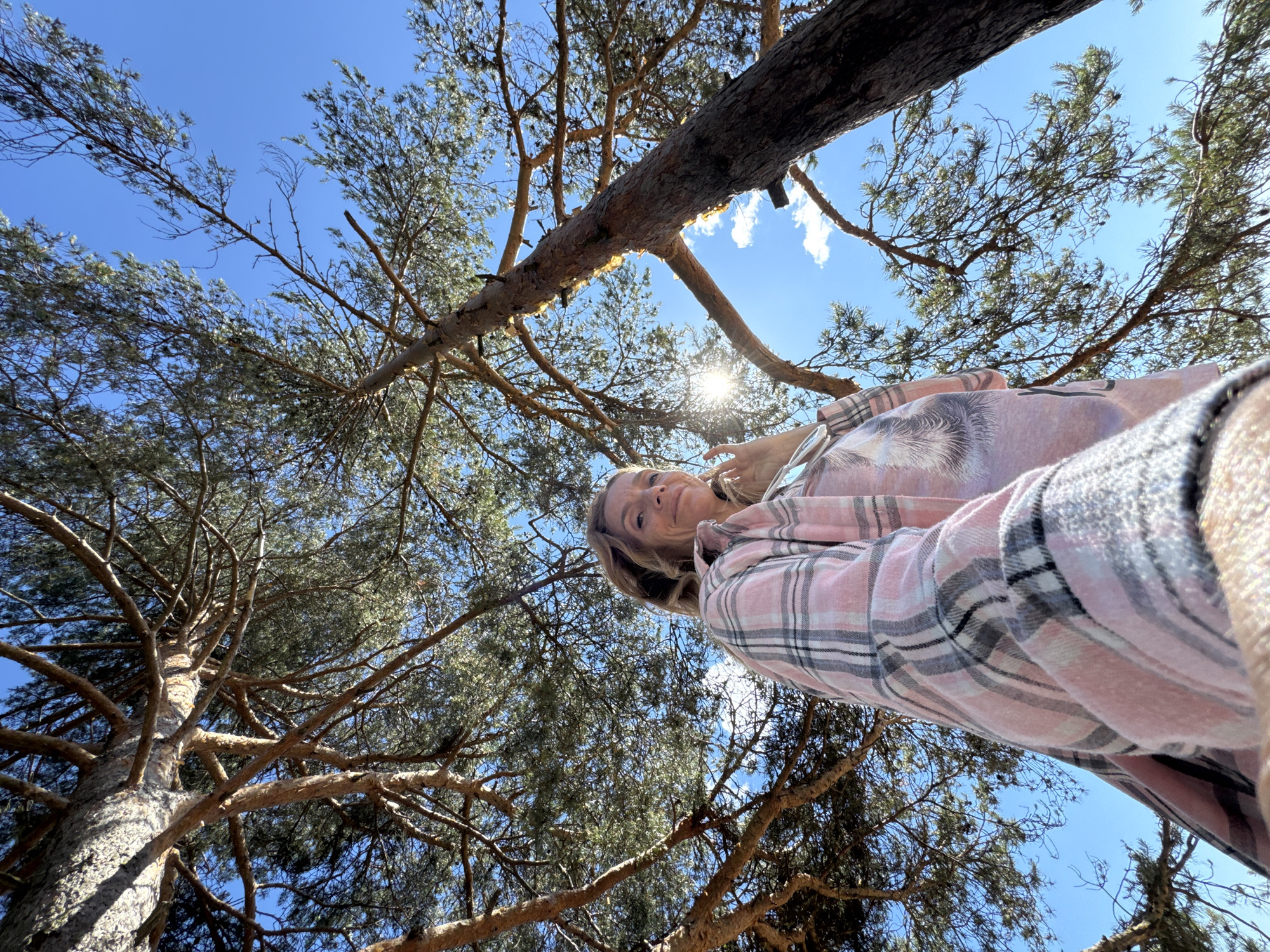 A low-angle, wide shot shows a woman with light brown hair standing outdoors, looking towards the camera with a slight smile. She is wearing a pink and gray plaid flannel shirt over a t-shirt with a graphic of a cat's face. The sun is visible through the branches of a pine tree, creating a lens flare effect. The sky is clear and blue with a few scattered clouds. The scene appears to be set in a park or forest.