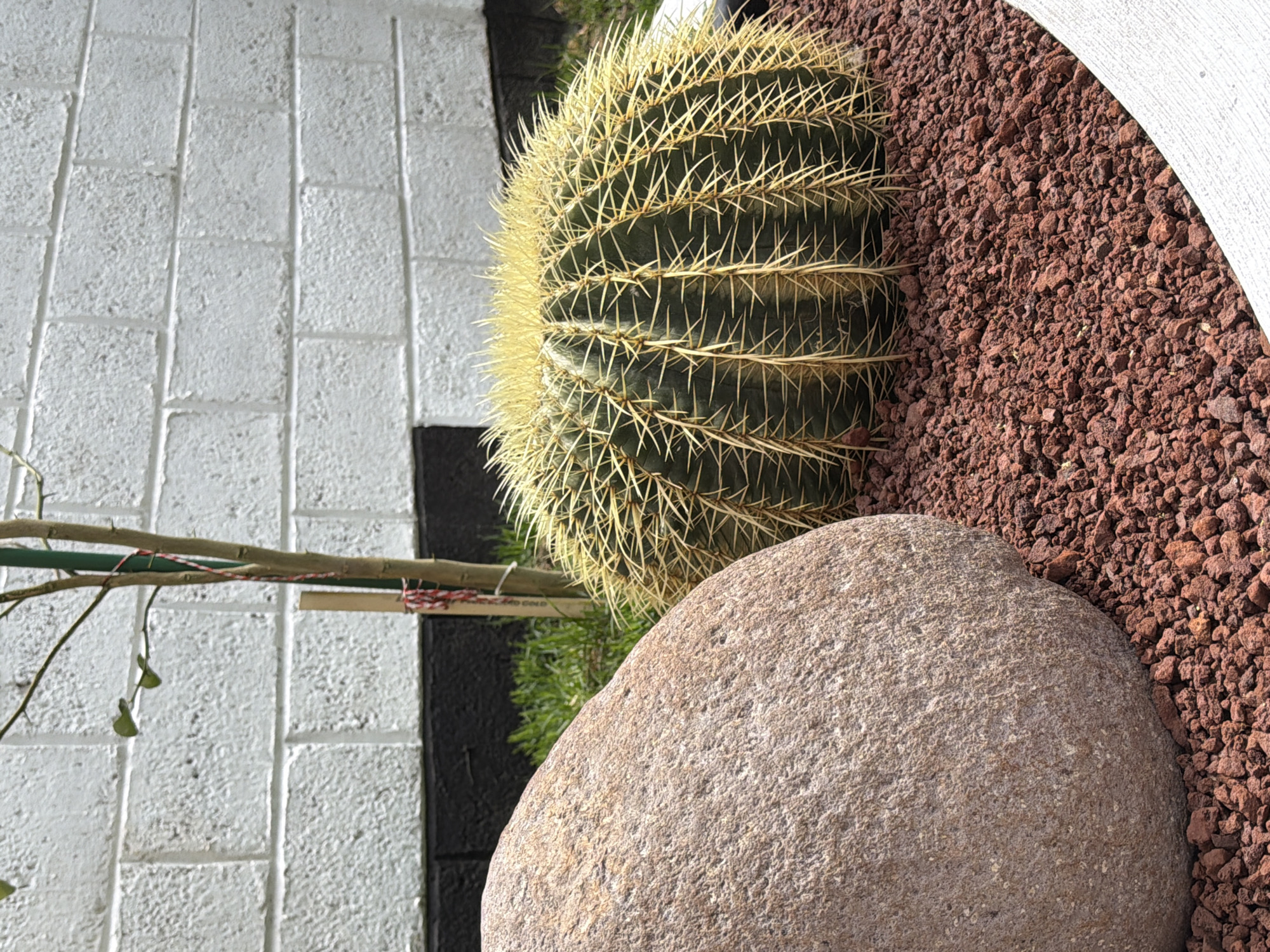 A high-angle shot shows a spiky barrel cactus positioned near a large, smooth rock, all contained within a pot filled with reddish-brown gravel. The pot's edge is visible on the right side of the frame. A small green plant peeks out between the rock and the cactus. To the left, there's a section of white brick flooring interrupted by a vertical black strip. A plant stake is visible against the brick. The location appears to be outdoors, possibly a garden or patio in the city of Unknown, Unknown.