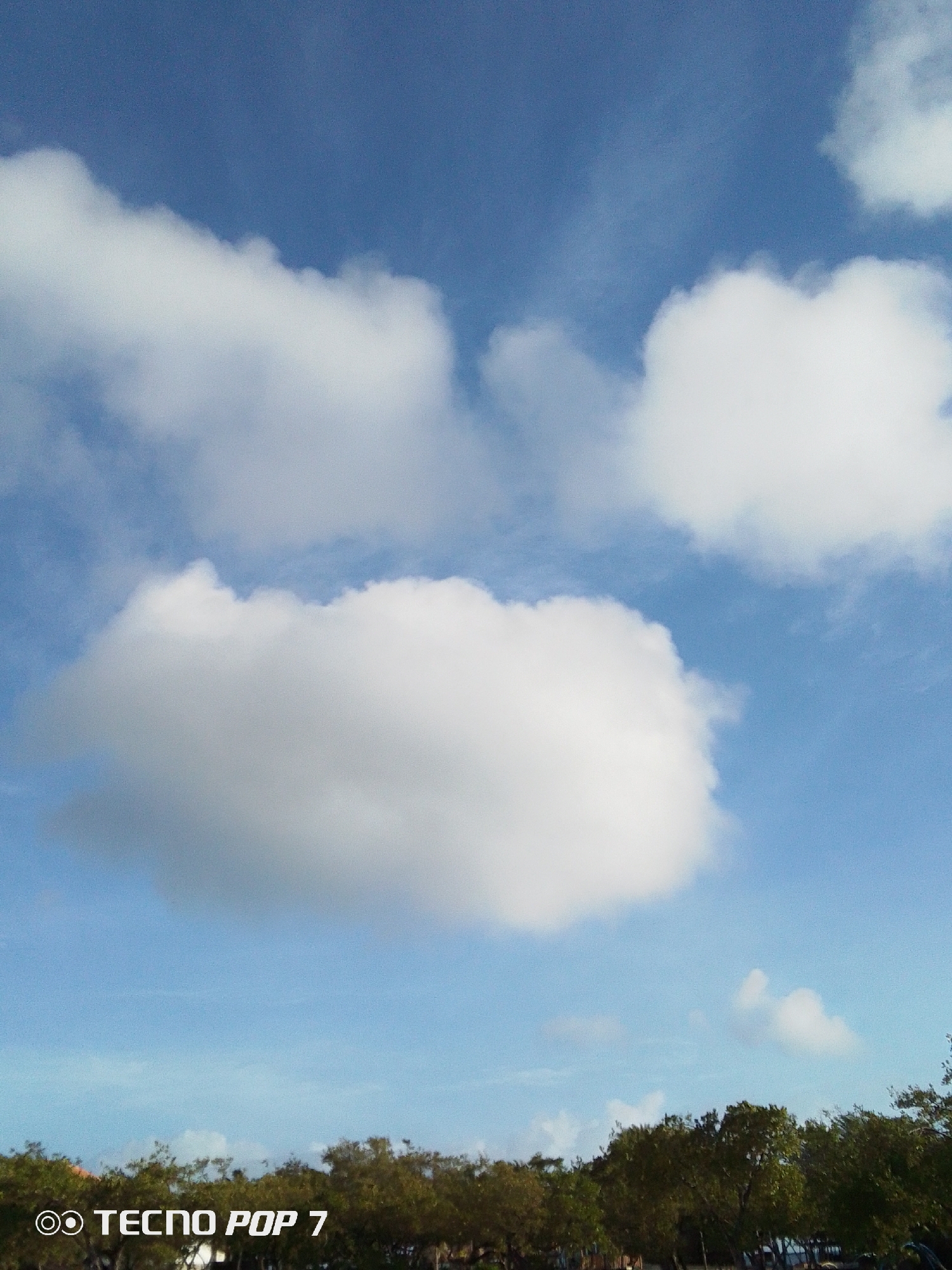 The image shows a daytime sky with scattered white clouds over Pedro González, Venezuela. The lower portion of the frame contains treetops, obscuring any potential street-level details. The sky is a gradient of blue, transitioning from a lighter shade near the horizon to a deeper hue towards the upper part of the image. The camera is marked as a TECNO POP 7.
