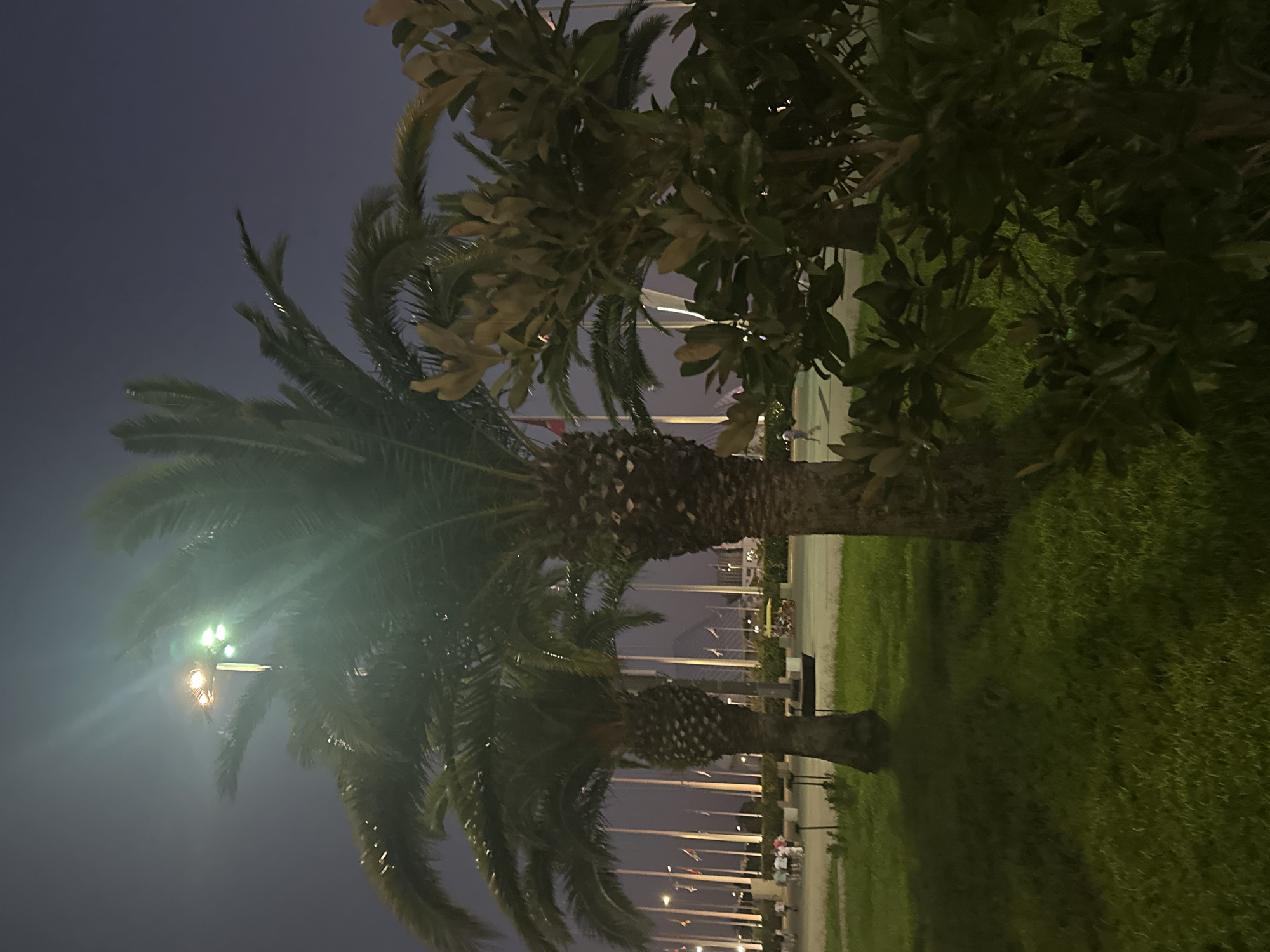 This image depicts an outdoor scene at night in Sochi, Russia, likely in an area with flags and palm trees, possibly a park or a public square. In the foreground, two palm trees are visible, their fronds illuminated by a bright light source situated high up, creating a lens flare effect. To the right, a bushy plant with large leaves partially obscures the view of the palm trees and the background.
The background reveals a line of tall poles with flags, suggesting a ceremonial or official setting. There are also faint lights and structures visible in the distance, indicating urban development. A paved area is visible behind the grass, where several people are walking, and a yellow vehicle, possibly a golf cart or a small buggy, is present. The ground is covered in green grass, which appears well-maintained. The sky is dark, consistent with nighttime. The overall impression is of a well-lit public space in Sochi, Russia, at night.