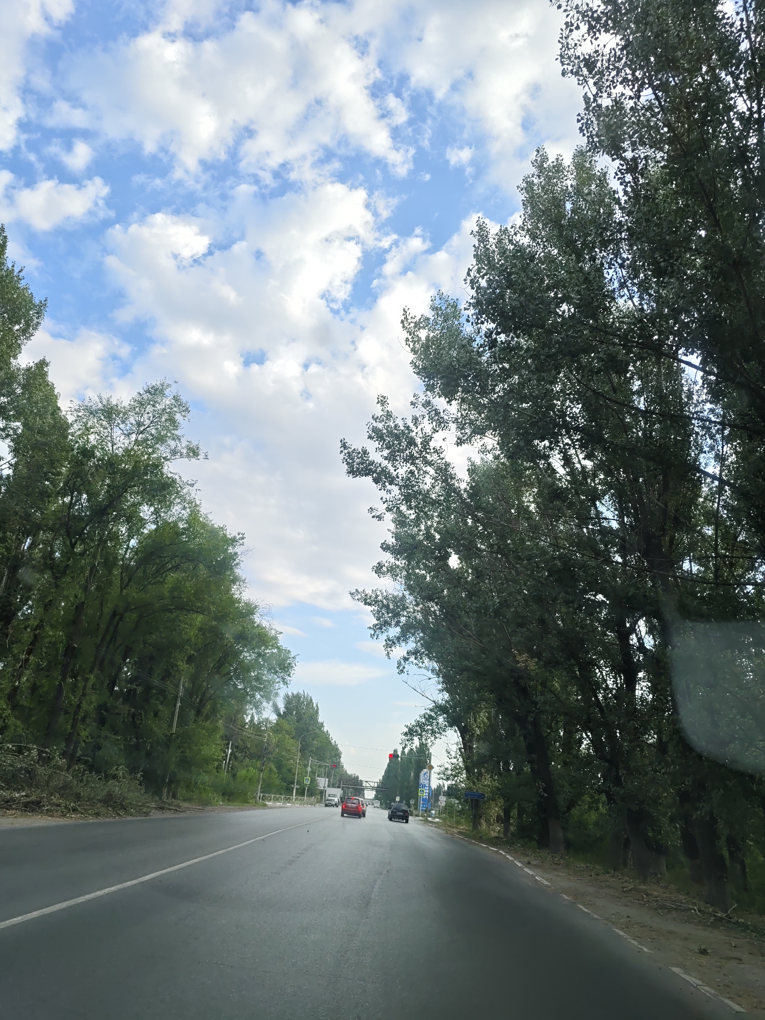 The image depicts a road in Novocherkassk, Russia, lined with tall trees on both sides. The road appears to be an asphalt surface with a white line marking the lane. Several cars are visible on the road, including a red car and a dark-colored car. In the distance, there are traffic lights and signs. The sky is partly cloudy with blue sky visible. The trees are dense and leafy, suggesting it is a warm season. The overall impression is of a suburban or rural road setting.
