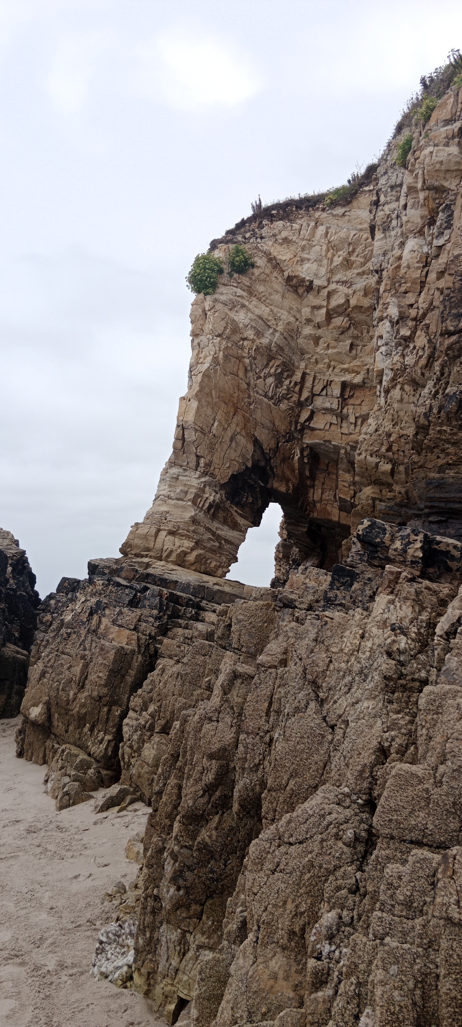 This is a full-frame, eye-level, vertical outdoor photograph of a rocky archway on a beach. The archway is naturally formed within a large, stratified rock cliff face. The cliff is composed of various shades of tan, brown, and gray rock, with visible layers and fissures. Green vegetation grows sparsely on the top and sides of the cliff. The archway itself is a significant opening in the rock, allowing the sky to be seen through it.
The foreground consists of a sandy beach with some smaller rocks and pebbles scattered on it. The sand is a light beige color. The background is an overcast sky, with diffused light, suggesting a cloudy day. The overall scene is one of natural coastal erosion and geological formation. The location is identified as a beach in A Rochela, Spain, known for its distinctive rock formations. No people or animals are visible in the image.