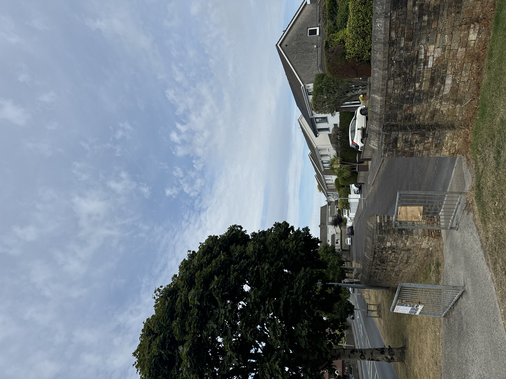 This is a photograph of a street in Waterford, Ireland. In the foreground, there is a stone wall with a metal gate. A large tree with dark green leaves is to the left of the frame. Beyond the wall and tree, a residential street is visible, lined with houses and parked cars. The sky is partly cloudy and blue. The overall scene depicts a typical suburban street in Ireland on a cloudy day.