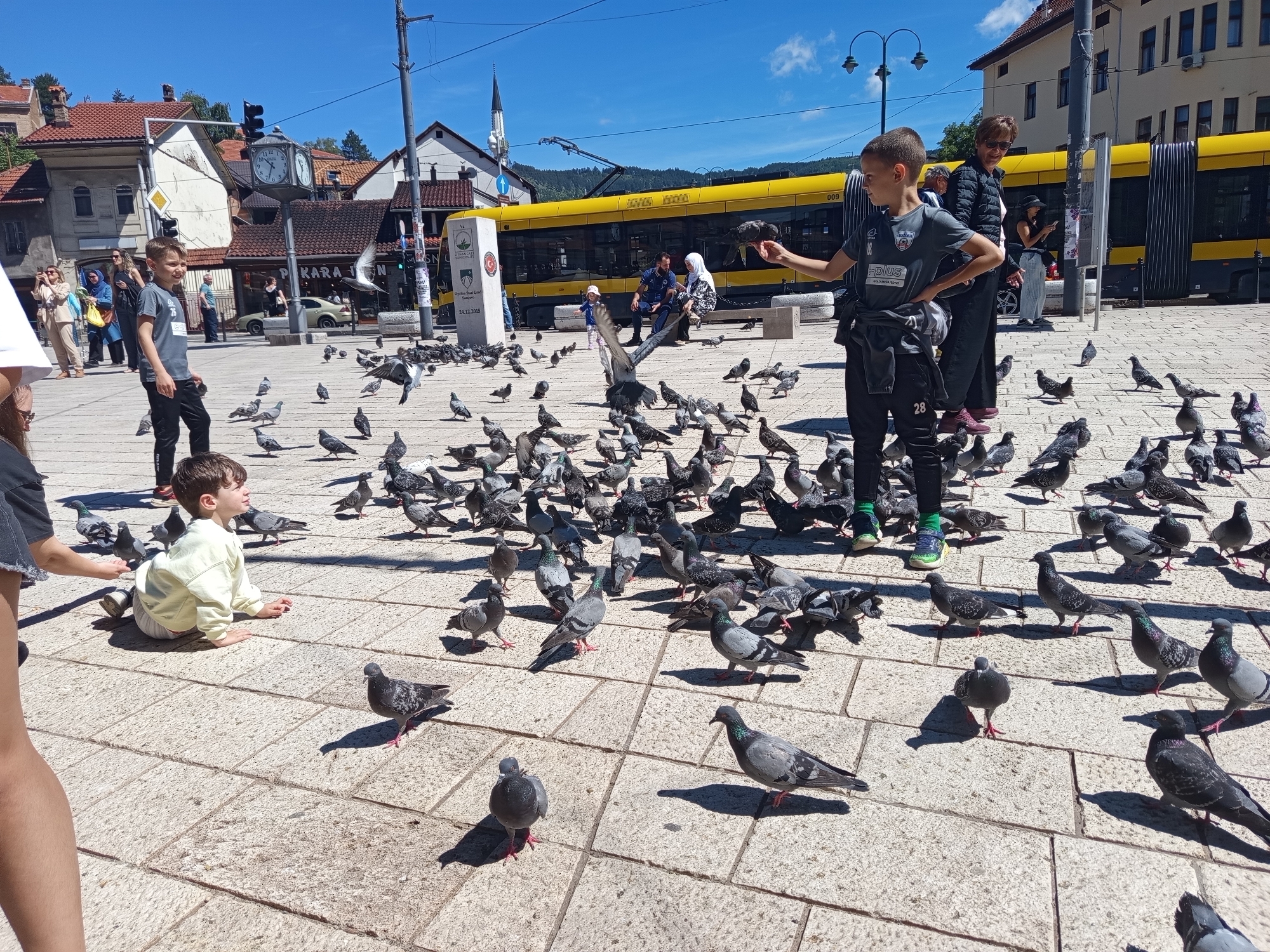 The image depicts a sunny day in a bustling city square, identified as Sarajevo, Bosnia and Herzegovina. In the foreground, a group of pigeons are gathered on a paved plaza, with several people interacting with them. A young boy, wearing a gray t-shirt with a graphic print and black pants, stands in the center left of the frame, looking towards the pigeons. To his right, a woman in sunglasses and a black jacket observes the scene. Another child, a young boy in a light yellow sweatshirt, sits on the ground among the pigeons.
In the background, a bright yellow tram is visible, a common mode of transport in Sarajevo. Several buildings with red-tiled roofs and architectural details characteristic of the city line the square. A clock tower with Roman numerals is also present, indicating a significant landmark within the city. People are seen walking and standing, suggesting a public gathering space. The overall atmosphere is one of everyday urban life, with tourists and locals coexisting.