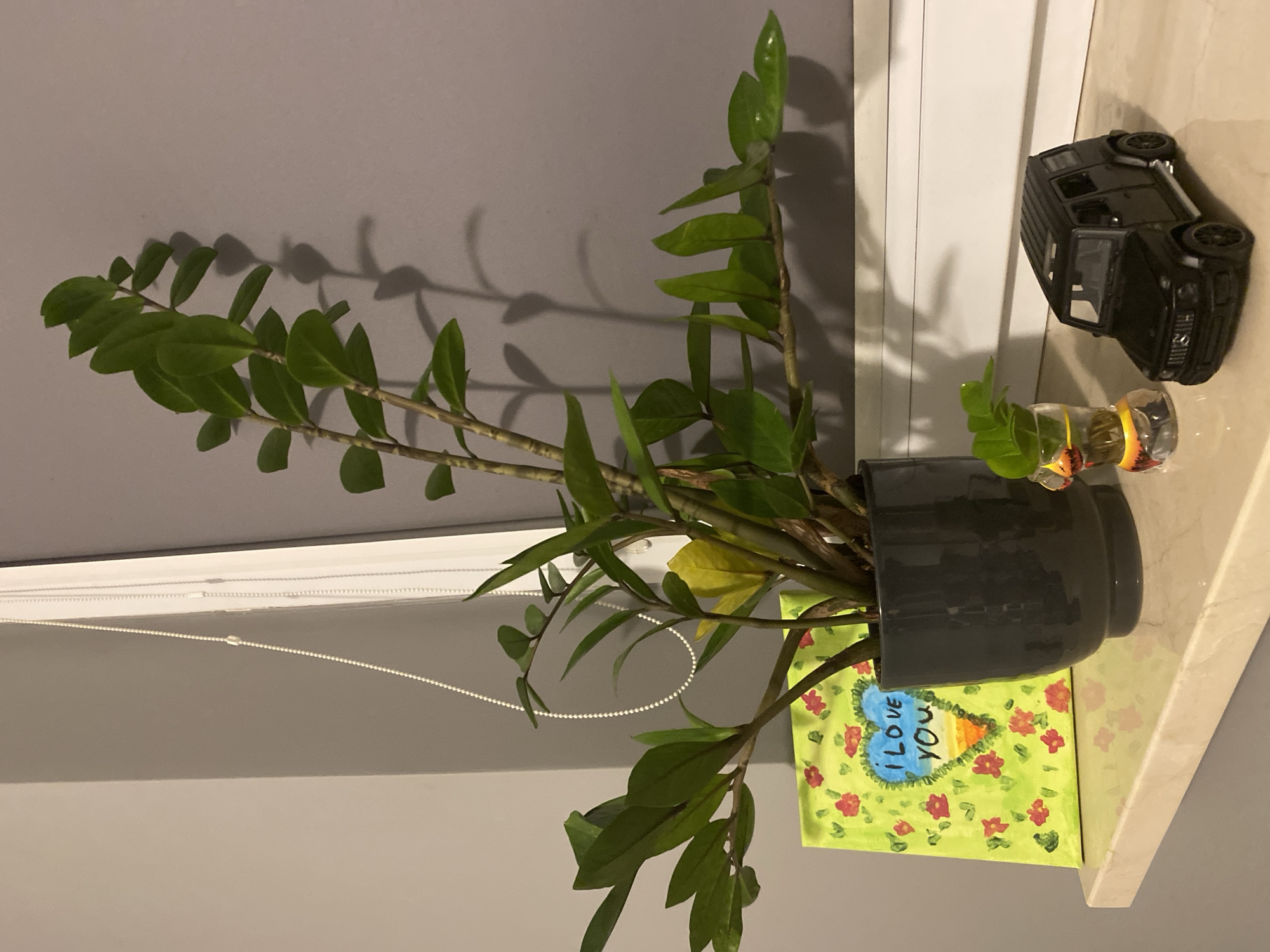 A black toy SUV is positioned on a marble shelf next to a small glass planter containing a plant cutting. To the left of these items is a small painting of a heart with the words "I LOVE YOU" inside, surrounded by a bright green background with red flower motifs. Behind these objects stands a large potted plant with dark green, waxy leaves in a dark gray pot. The scene is set against a gray wall, with a white beaded blind cord visible hanging vertically on the left side. The image captures a domestic indoor setting, likely a windowsill or shelf. There is no discernible information in the image that would suggest a specific location within the city of Łódź, Poland.