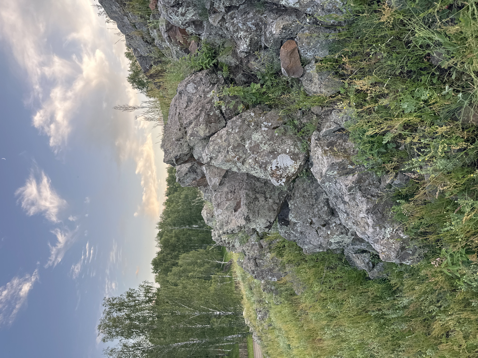 The media file displays a rocky, overgrown landscape. Large, grey rocks, some covered in lichen, dominate the foreground and midground, suggesting a natural, possibly mountainous or hilly terrain. Green grass and various types of vegetation, including some with small yellow flowers, grow densely amongst and around the rocks, indicating a wild or uncultivated area. In the background, a dense forest of green trees stretches across the horizon, with some lighter-barked trees, possibly birch, visible closer to the foreground. The sky above is a soft blue with wispy white clouds, suggesting it is either early morning or late afternoon. A sliver of the moon is faintly visible in the sky. The overall scene evokes a sense of natural beauty and tranquility. There is no text visible in the image.