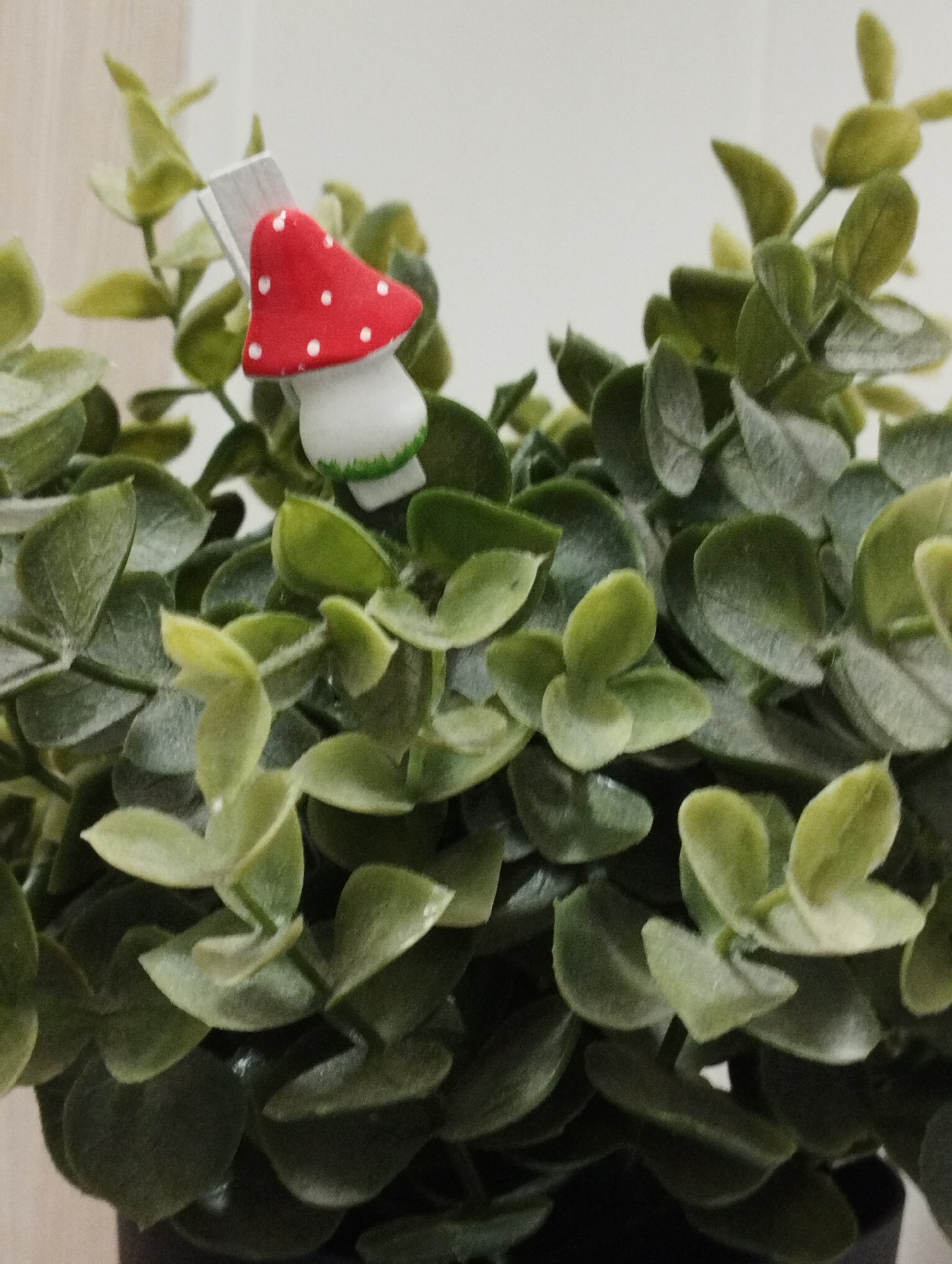 The image shows a close-up of a potted plant with small, round, green leaves. Perched among the leaves is a decorative mushroom. The mushroom has a red cap with white polka dots and a white stem with a green base. The plant is in a dark-colored pot. The background is a light color, possibly a wall. The scene appears indoors. The location in the city of Sadovyy, Russia is not discernible from the image.
