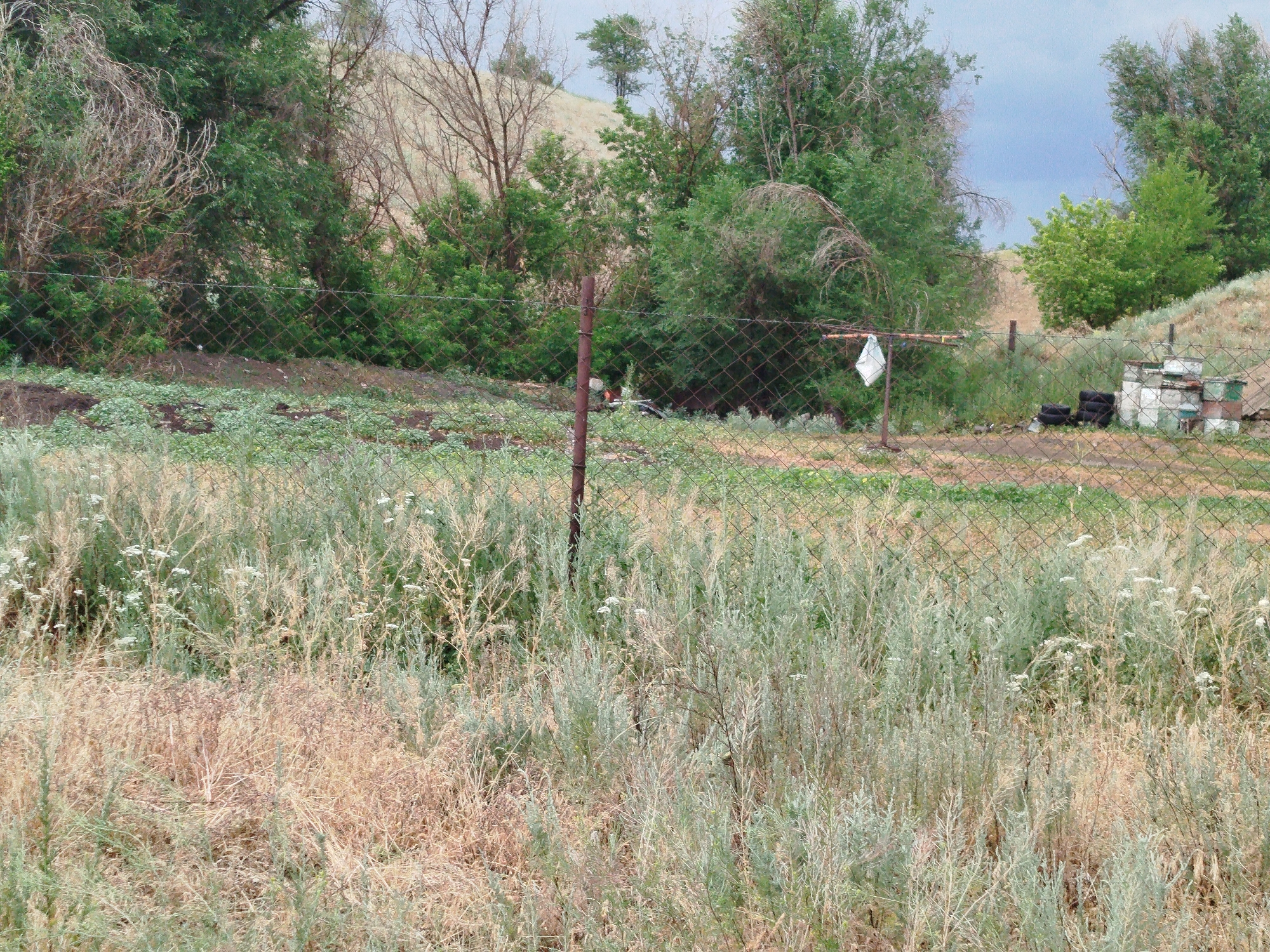This image captures a rural scene in Kabanbay, Kazakhstan, viewed through a wire mesh fence. The foreground is dominated by dry, tall grasses and some green vegetation, indicative of a summer or early autumn season. Beyond the fence, a variety of trees and shrubs create a dense background, with some bare branches suggesting older or dead trees. The terrain appears to be uneven, with a gentle slope visible in the upper right portion of the image.
In the mid-ground, several objects are scattered. These include a few stacked tires and what appear to be bee hives or storage boxes, suggesting agricultural or beekeeping activity. A piece of white cloth is hanging from a horizontal bar supported by a metal post, possibly laundry or some form of marker. The sky above is overcast with a light blue-grey hue. The overall impression is one of a somewhat unkempt, functional outdoor space in a natural setting.