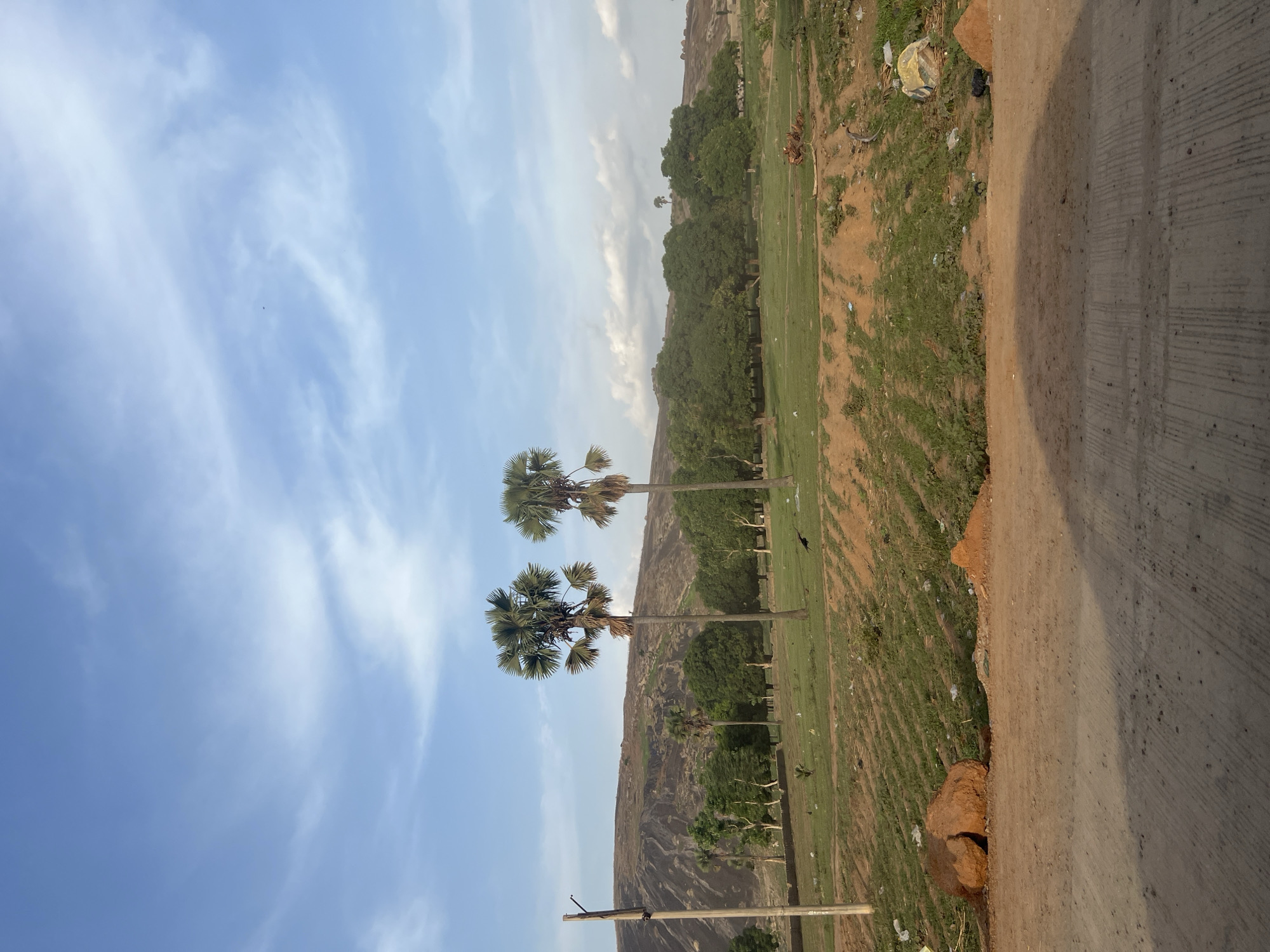 The image shows a landscape with two palm trees in the foreground against a blue sky with scattered clouds. Behind the trees is a rocky hill or outcrop covered with some greenery. The right side of the image shows a dirt and paved road with some vegetation. The location is specified as Jere North, Nigeria, but there are no elements in the image that definitively confirm or refute this location. There are no visible people, specific subjects, actions, or interactions in the image. The main objects are the palm trees, the rocky hill, the sky, and the road.