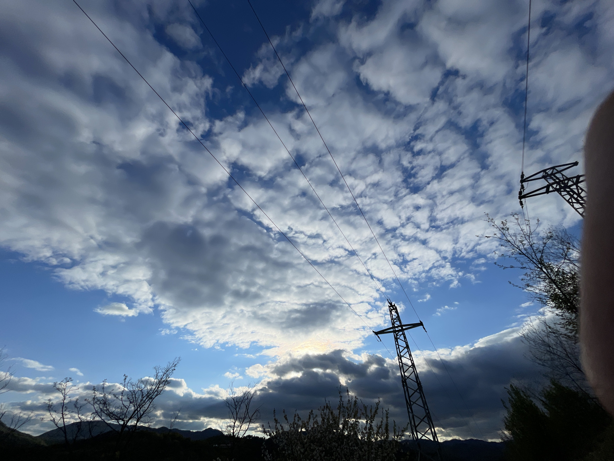 The image presents a view of the sky in Zlatograd, Bulgaria, characterized by a combination of blue sky and various cloud formations. Overhead, power lines stretch across the scene, connecting to utility towers that are visible. The lower part of the image shows vegetation, including trees and bushes. The horizon suggests a hilly or mountainous terrain in the background. The light suggests it is either morning or evening, and the clouds provide an interesting dynamic to the otherwise typical scenery.