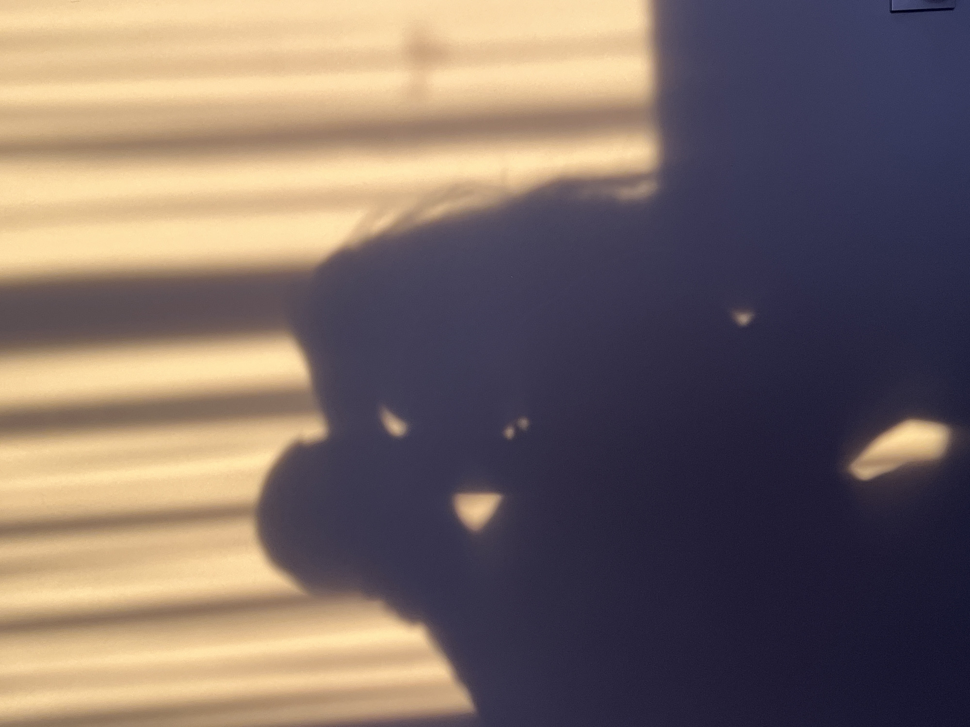The image shows the shadow of a person holding a camera. The background consists of horizontal lines, possibly from window blinds. The scene's location in Kribul, Bulgaria, is not verifiable from the image content.