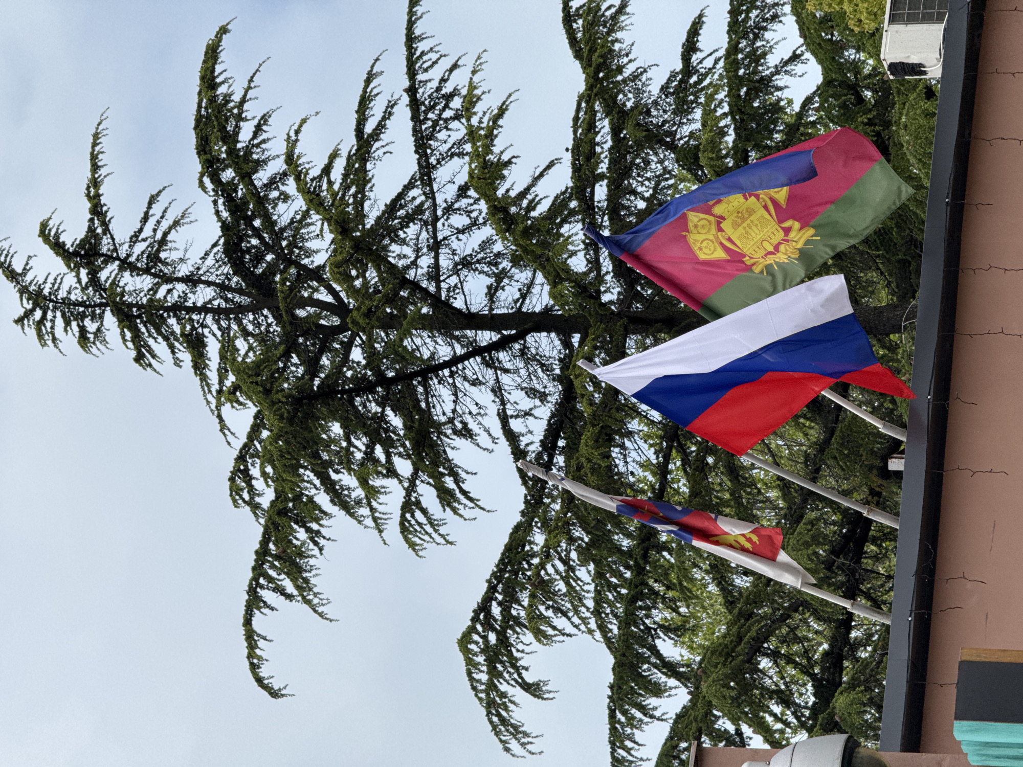 The image shows three flags displayed near a building in Sochi, Russia. The flags are arranged vertically, with the top flag being the flag of Adygea, the middle flag the Russian flag, and the bottom flag appearing to be a local flag as well, possibly related to the Krasnodar Krai region. A tall evergreen tree is visible in the background. The flags are waving slightly in the wind. The side of the building is visible in the right side of the frame. The sky is overcast.
