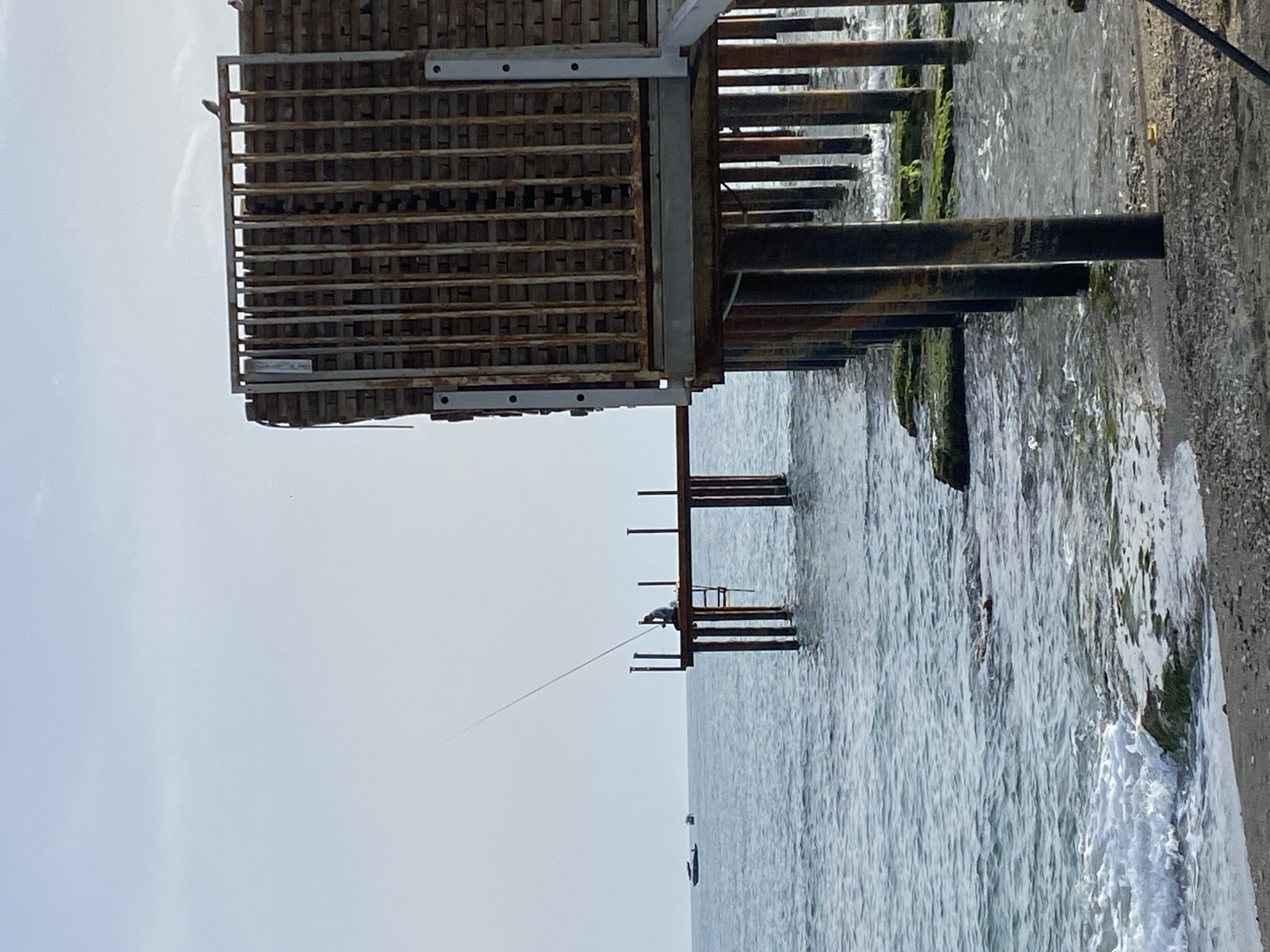 The image shows a fishing platform in Alanya, Turkey. The platform is made of metal and wood, and it extends out into the sea. A man is fishing from the platform, and his fishing line is visible. There is a second, higher, similar platform to the left of the fisherman and closer to the land. The sea is calm and the sky is overcast. The beach is to the right of the image and the sand is covered in algae. There are a few small boats in the distance. Two birds are perched atop the platform.