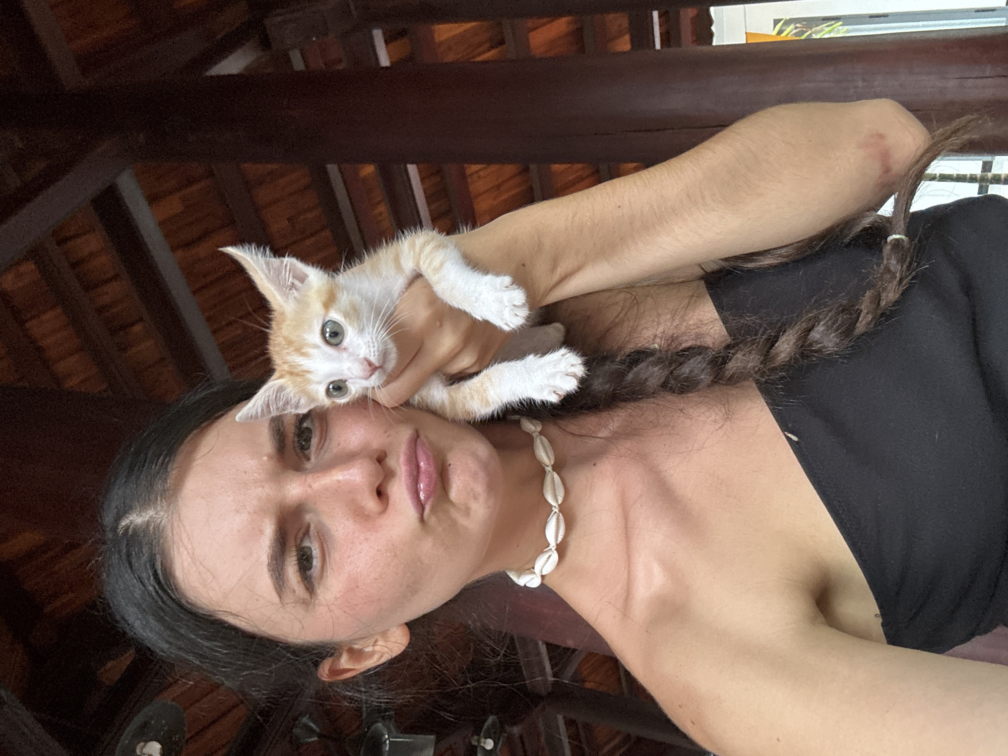A light-skinned woman is holding a small, orange and white kitten close to her face in what appears to be Mũi Né, Vietnam. The woman is wearing a black top and a necklace made of small white shells. Her dark hair is braided and falling behind her shoulder. The kitten is looking directly at the camera with its paws outstretched. The background is blurry, but it appears to be an indoor space with wooden beams in the ceiling. The photo is taken at a close-up angle.