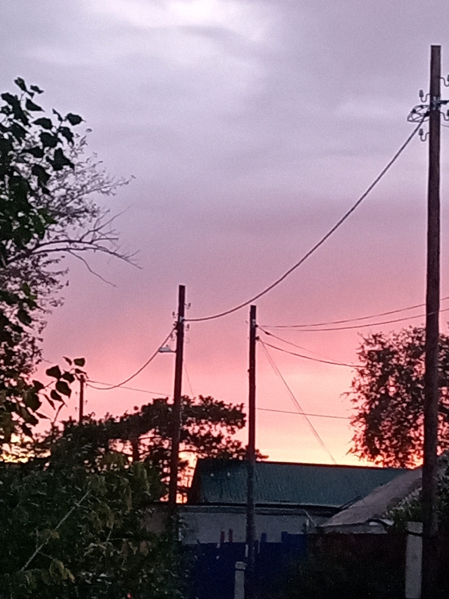 The image depicts an outdoor scene at dusk in Rudny, Kazakhstan. The sky is colored with shades of purple and pink, indicative of sunset. Two wooden utility poles with electrical wires are visible, along with silhouetted trees and the roofs of buildings. The overall atmosphere is tranquil, with no people or animals present. The foreground features lush green foliage, suggesting a natural element within the urban landscape.