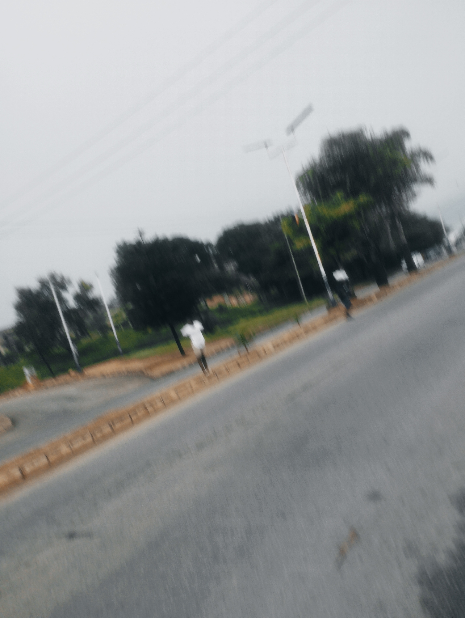 An outdoor, motion-blurred, low-angle shot captures a street scene under an overcast sky. The foreground is dominated by a grey asphalt road with a beige concrete curb lined with dark vertical posts, running diagonally from the bottom right to the upper left. Beyond the curb, a patch of green grass and trees is visible. Several trees, some dark and leafy, others with lighter foliage, are scattered throughout the background. Tall, thin white poles, possibly streetlights, stand amongst the trees. Two individuals are present: one person in a white garment is walking on the grass area, while another person in dark clothing stands near the curb. The overall impression is one of an urban environment on a cloudy day.