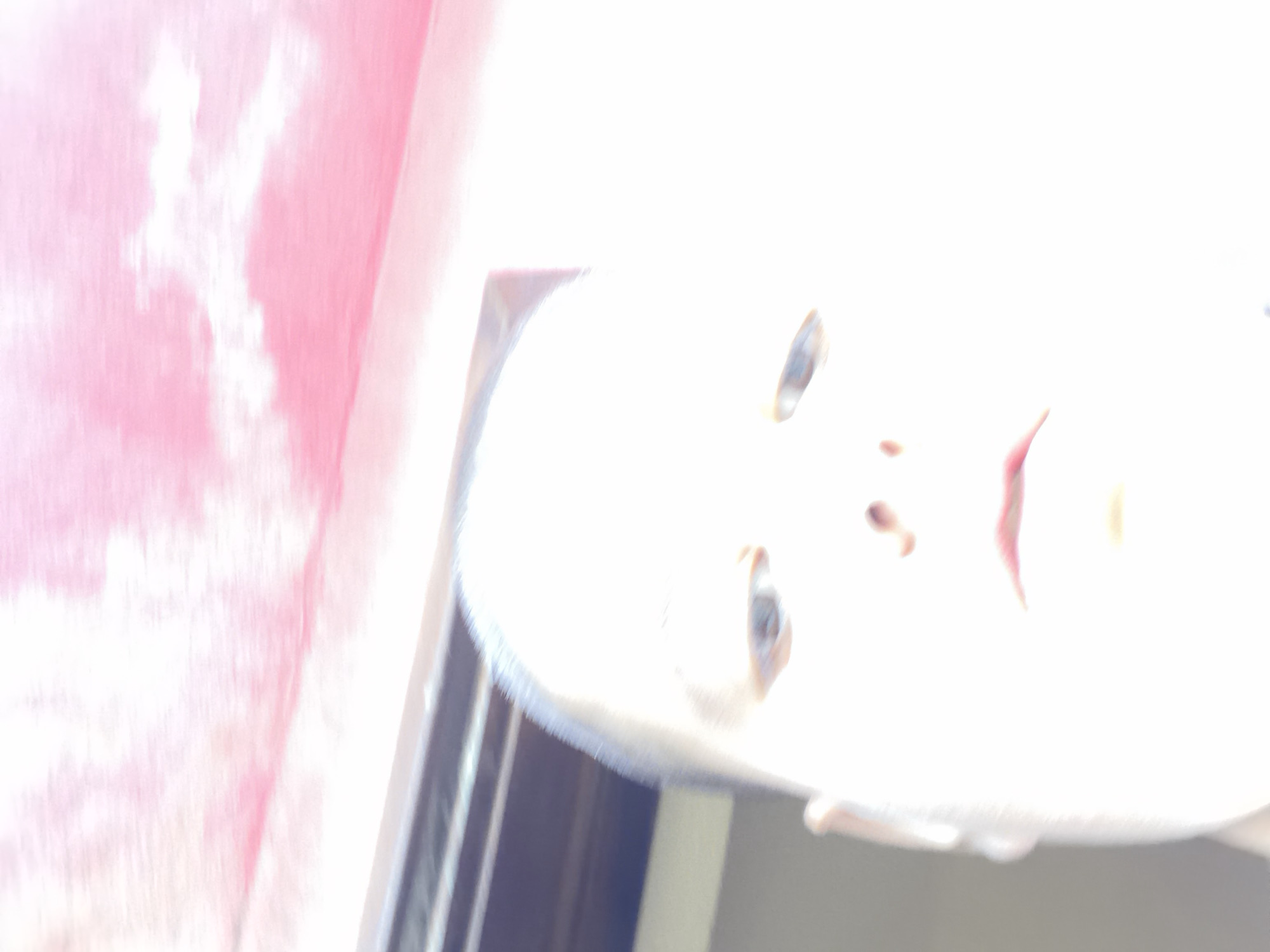 A highly overexposed photograph, possibly from a smartphone camera, shows a close-up view of a baby's face. The face is pale and dominates the frame, with eyes, nose, and mouth barely visible. The backdrop is a blurry combination of pink and what appears to be part of a window frame. There is no information that places the image in Shumen, Bulgaria.