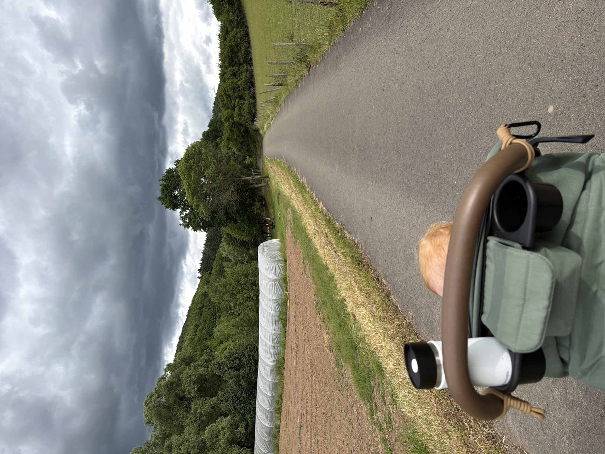 In Obermoschel, Germany, on an overcast day, a perspective shot looks down a paved road, flanked by a grassy field on the right and a cultivated field with a greenhouse structure on the left. A stroller's brown handle is in the foreground, with a green fabric stroller seat. Attached to the handle are a white water bottle with a black lid and a black cup holder. The head of a baby with blonde hair is visible over the stroller's seat. The road stretches into the distance, bordered by trees and hills under a dramatic, cloudy sky.