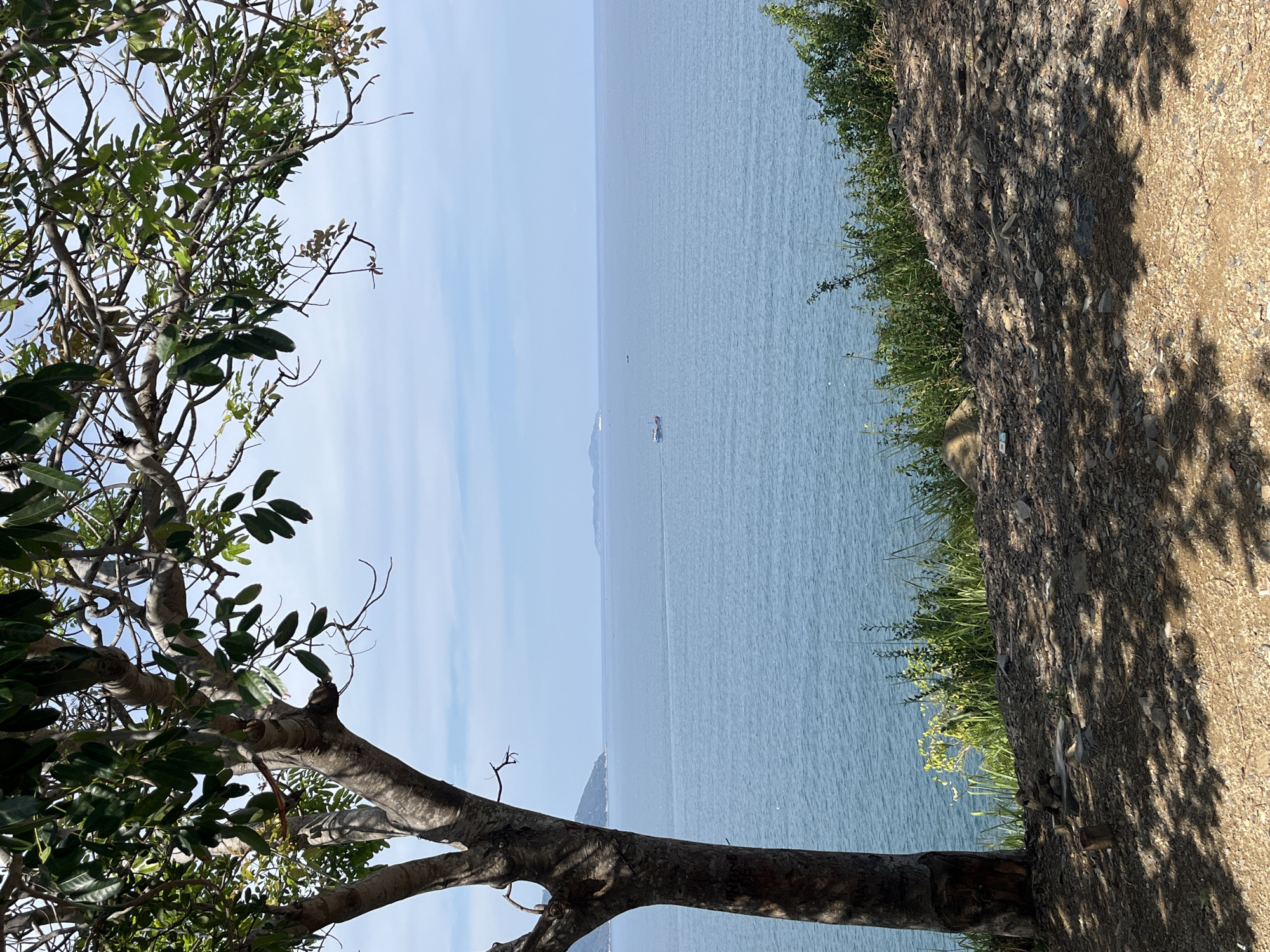 The image shows a view of the ocean from what appears to be a cliffside or elevated area in Bac Nha Trang Ward, Vietnam. A tree branch with green leaves is visible in the lower left corner of the frame, partly obstructing the view. A dirt path or embankment is visible on the right side of the frame, lined with grass and vegetation. In the distance, on the water, there is a small boat or ship. The sky is clear and a light blue color. The ocean water is a blue-green color.