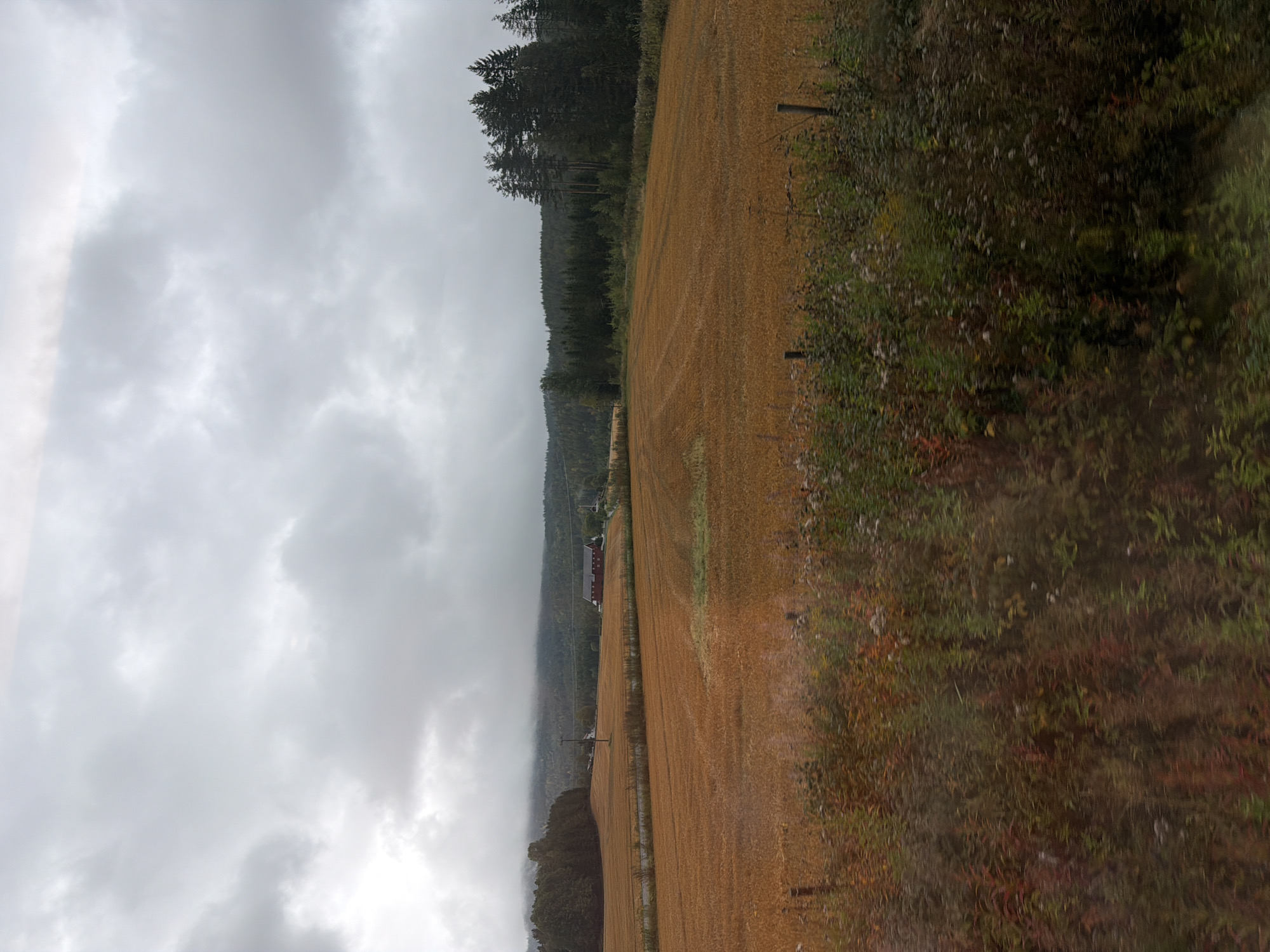 The image shows a rural landscape in Sokna, Norway. In the foreground, there is a field with dry, golden stubble, suggesting it has recently been harvested. The field is bordered by a dense line of trees and foliage, with some hints of autumnal colors like red and brown. Beyond the field, a traditional red barn-style building with a dark roof is visible on a slight incline, surrounded by greenery. A dirt road leads up to the building. In the background, rolling hills covered in dark green coniferous trees form the horizon, obscured in parts by low-hanging clouds and mist. The sky is overcast with heavy, gray clouds, indicating a cloudy or possibly rainy day. The overall impression is one of a peaceful, agricultural setting in a natural, somewhat melancholic environment.