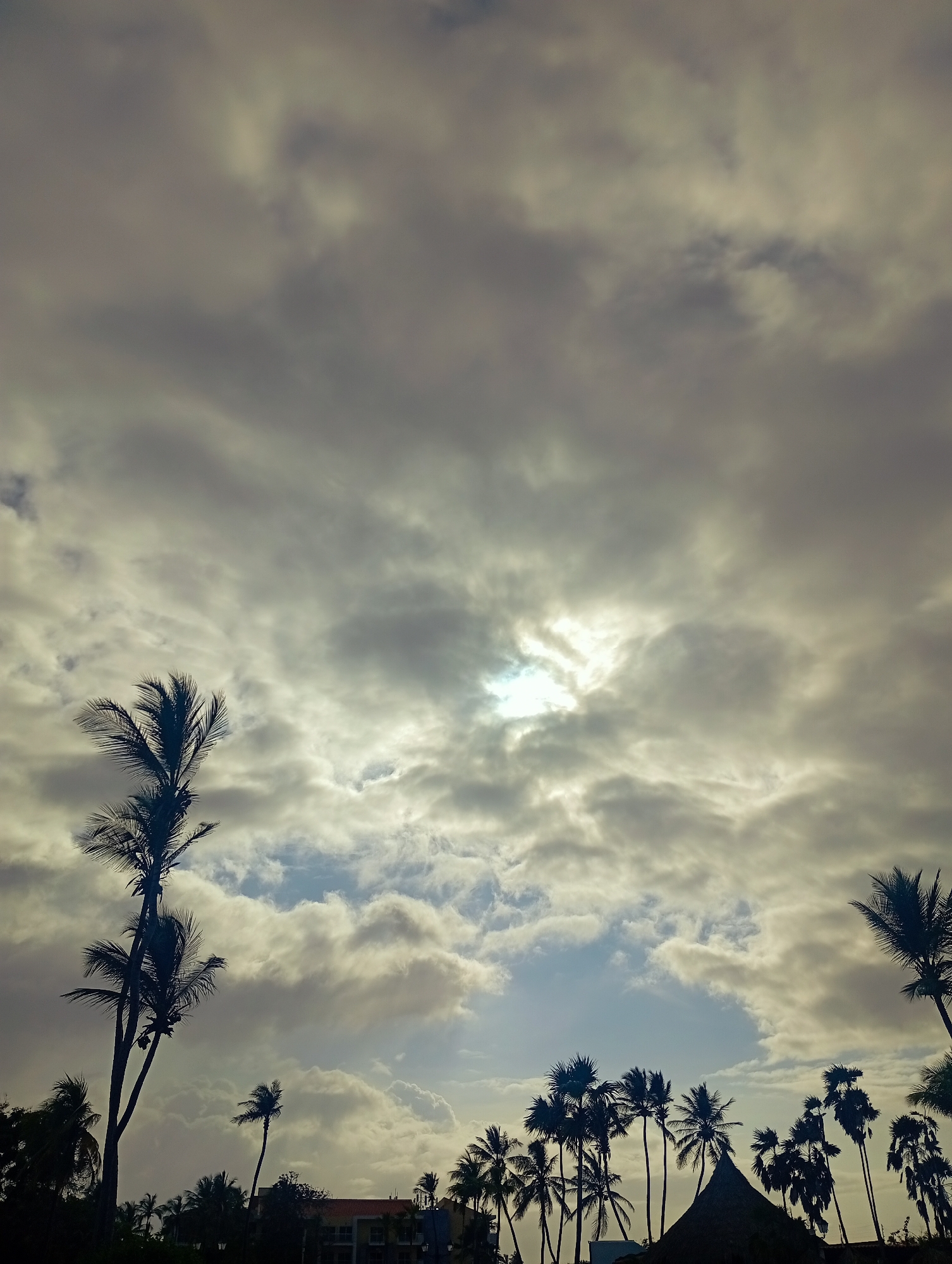 This vertical shot captures a tropical scene at Playa El Agua, Venezuela, under a heavily clouded sky. The majority of the frame is filled with thick, textured grey and white clouds, through which the sun is partially visible, creating a bright, diffused glow in the upper-middle section of the image. This light highlights the edges of some clouds and casts a subtle, muted overall tone.
In the lower third of the image, numerous palm trees are silhouetted against the brighter sky. A particularly tall palm tree with distinct fronds dominates the left side of the foreground. Spanning across the bottom and mid-ground are several clusters of palm trees, varying in height and density, their dark forms contrasting sharply with the illuminated sky.
Beneath the dark canopy of palms, elements of human construction are subtly visible. Towards the lower right, a dark, conical thatched-roof structure, reminiscent of a churuata or beach hut, is silhouetted. Further to the left, behind more palm foliage, part of a building with a reddish roof can be seen.
The scene suggests an overcast day in a tropical coastal environment, likely in the late morning or afternoon given the position and diffusion of the sunlight. There is no visible human activity or text within the image.