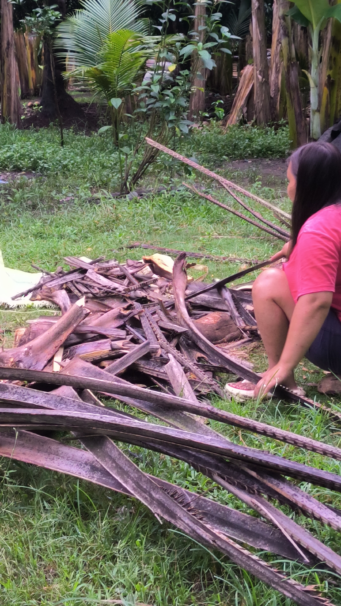 The image depicts a person crouching in a grassy area in what appears to be a rural or natural setting, city unknown, unknown. The person is wearing a pink shirt and dark shorts, and is positioned beside a pile of dried, brown palm fronds and other wooden debris. The person's shoes are visible, with a predominantly red and white pattern. The background features tropical foliage, including various trees and plants. The ground is covered with green grass. The lighting suggests an overcast day or a shaded area. A long, thin wooden stick or tool is held in the person's hand.