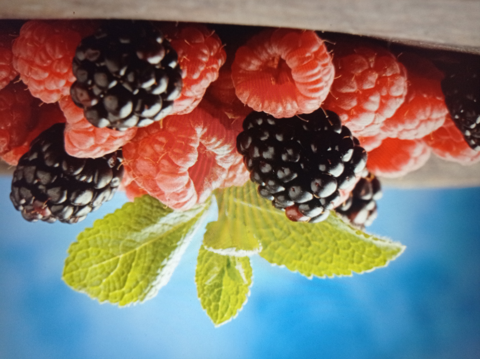 The image displays a close-up, top-down view of a collection of fresh blackberries and raspberries arranged on a wooden surface. Green mint leaves are interspersed among the berries, adding a touch of freshness to the composition. The background is a soft, out-of-focus blue, suggesting a bright sky. The berries are plump and appear ripe, with the deep purple of the blackberries contrasting with the vibrant pink of the raspberries. The mint leaves have a slightly serrated edge and a vibrant green color. The lighting highlights the textures of the fruit, showcasing the individual drupelets of the blackberries and the soft, velvety surface of the raspberries. The overall impression is one of natural abundance and freshness. There is no discernible location in Mukachevo, Ukraine, or any people depicted in the image.