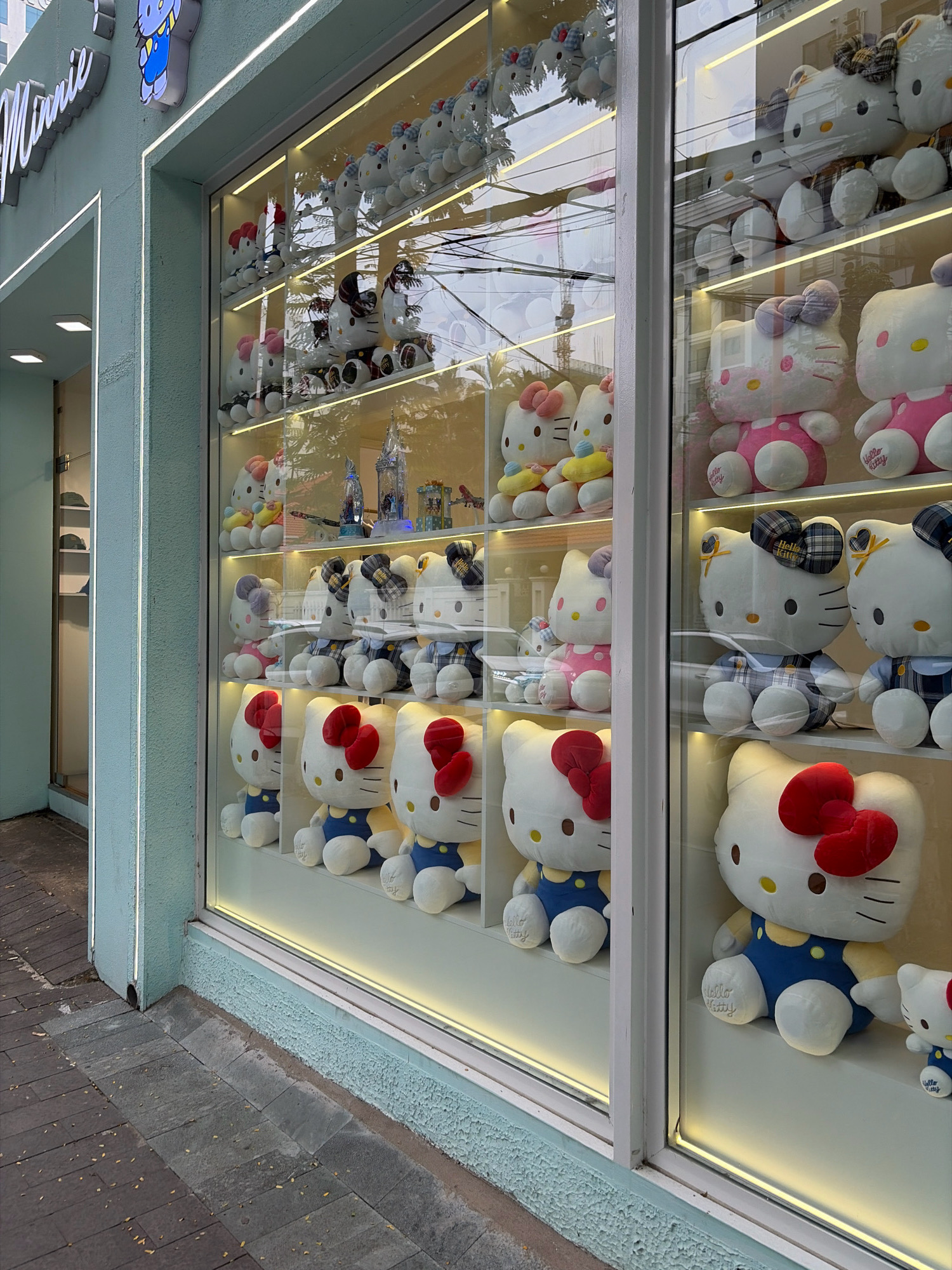 The image depicts a storefront window display filled with Hello Kitty plush toys. The display is organized on multiple shelves, showcasing various sizes and outfits of the popular character. The toys are predominantly white with distinctive bows, some adorned in checkered clothing and others in simple outfits. The storefront itself is painted in a light mint green color. Visible through the glass are reflections of the environment outside, including some trees and overhead wires, suggesting an urban setting. The sidewalk in front of the store is paved with dark grey stone tiles. The overall impression is of a retail establishment specializing in merchandise related to the Hello Kitty character, located in a city in Vietnam, likely Đà Nẵng, given the context.