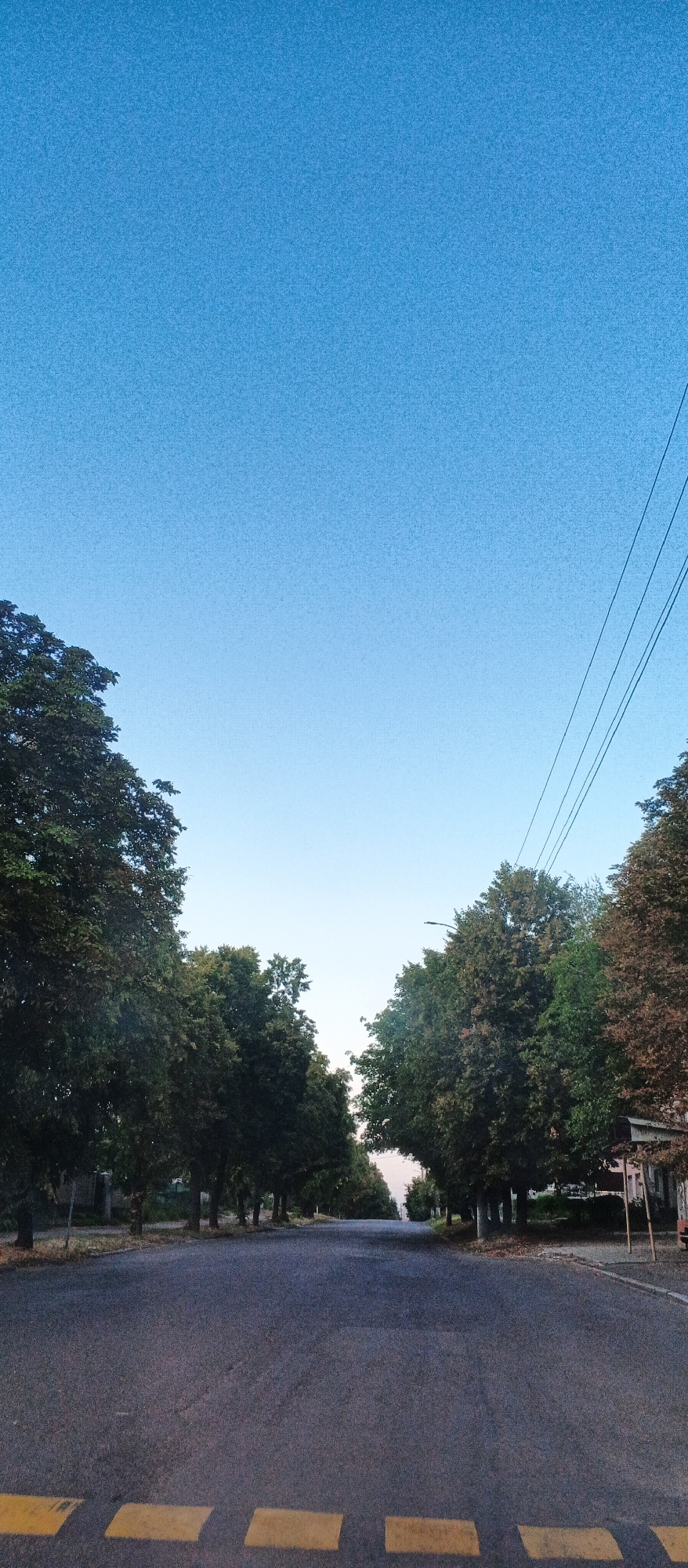 The image depicts an empty asphalt road in Smila, Ukraine, lined with mature trees on both sides. The road has yellow markings indicating a speed bump or crossing near the foreground. The sky is a clear, light blue, suggesting it is daytime, possibly early morning or late afternoon due to the soft lighting. Power lines are visible stretching across the sky on the right side of the image. No people or vehicles are present in the scene, creating a tranquil and deserted atmosphere. The buildings visible through the trees on the right side appear to be low-rise structures, characteristic of residential or commercial areas in a Ukrainian town. The overall scene captures a quiet street in Smila, emphasizing the natural elements of the trees and sky against the urban infrastructure of the road.