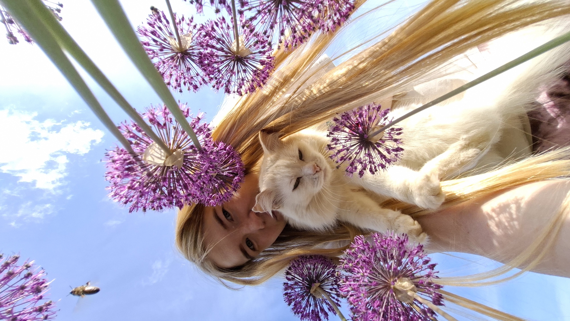 A young woman with long blonde hair lies supine outdoors, holding a light-colored cat. Both the woman and the cat are framed by large, spherical purple allium flowers against a blue sky with scattered clouds. A bee is visible in the lower left of the image. The image is taken at a low angle, looking up. The location is Большой Букор, Russia.