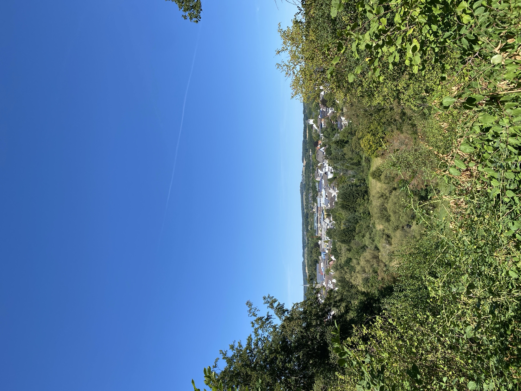 The image depicts a clear, bright, sunny day in the city of Altenkirchen, Germany. The sky is a vibrant, cloudless blue with a faint contrail visible. In the foreground, lush green foliage dominates the lower and left portions of the frame, with dense bushes and tree branches partially obscuring the view.
Further into the scene, a town or city is visible, nestled among rolling green hills and dense forests. The buildings appear to be a mix of residential homes with red-tiled roofs and some larger, more modern industrial or commercial structures. A prominent white church steeple rises above the rooftops, a focal point in the town's skyline. The landscape suggests a rural or semi-rural setting, with the town integrated into the natural environment. The overall impression is one of a peaceful, picturesque day in the German countryside.