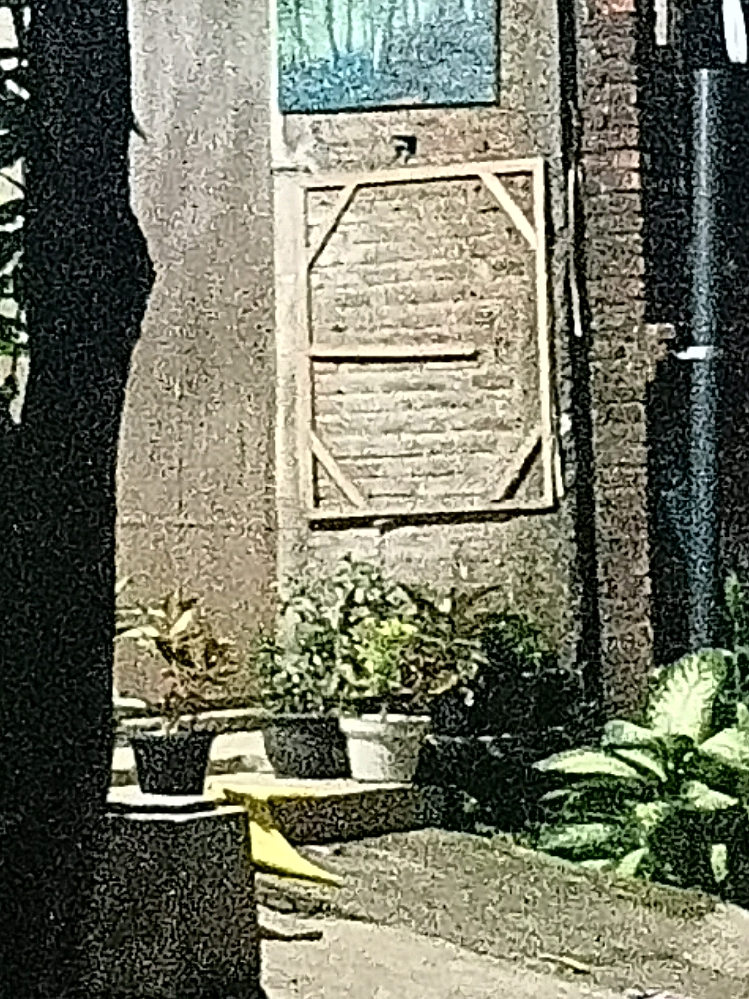 A still image depicts an outdoor scene with brick walls and plants. On the left, a dark, textured silhouette of a tree or structure dominates the foreground. Adjacent to it is a light-colored, textured wall. In the background, a brick wall is visible with a wooden frame, possibly a window or door structure, with a painted artwork of trees above it. Several potted plants are arranged on the ground in front of the brick wall. To the right, a large, leafy green plant is prominent. The ground appears to be a mixture of gravel and paving. The overall impression is a rustic or garden-like setting, likely in an urban environment given the brickwork. No people are visible. The location is described as Cikal, Indonesia.