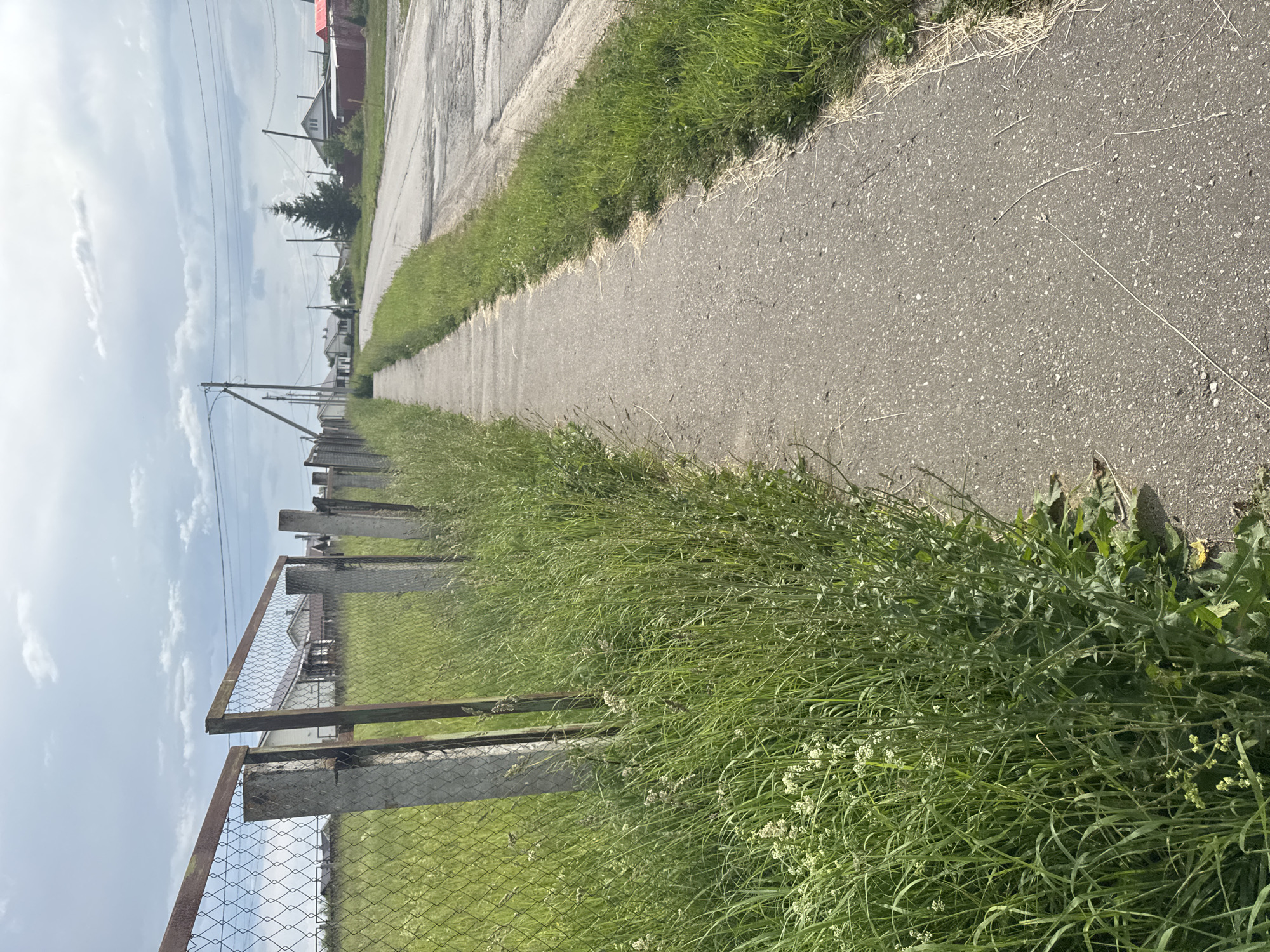 The image depicts a sidewalk on a village road in Krasnye Baki, Russia. The sidewalk is made of asphalt and runs along the left side of the frame, bordered by a chain-link fence and overgrown grass. The fence consists of concrete posts and rusty metal mesh. Beyond the fence, there is a green field with several houses visible in the distance. The road on the right is also paved with asphalt, showing signs of wear and tear. Utility poles and power lines are present along the road. A lone evergreen tree stands in the middle distance. The sky is overcast with scattered clouds.
