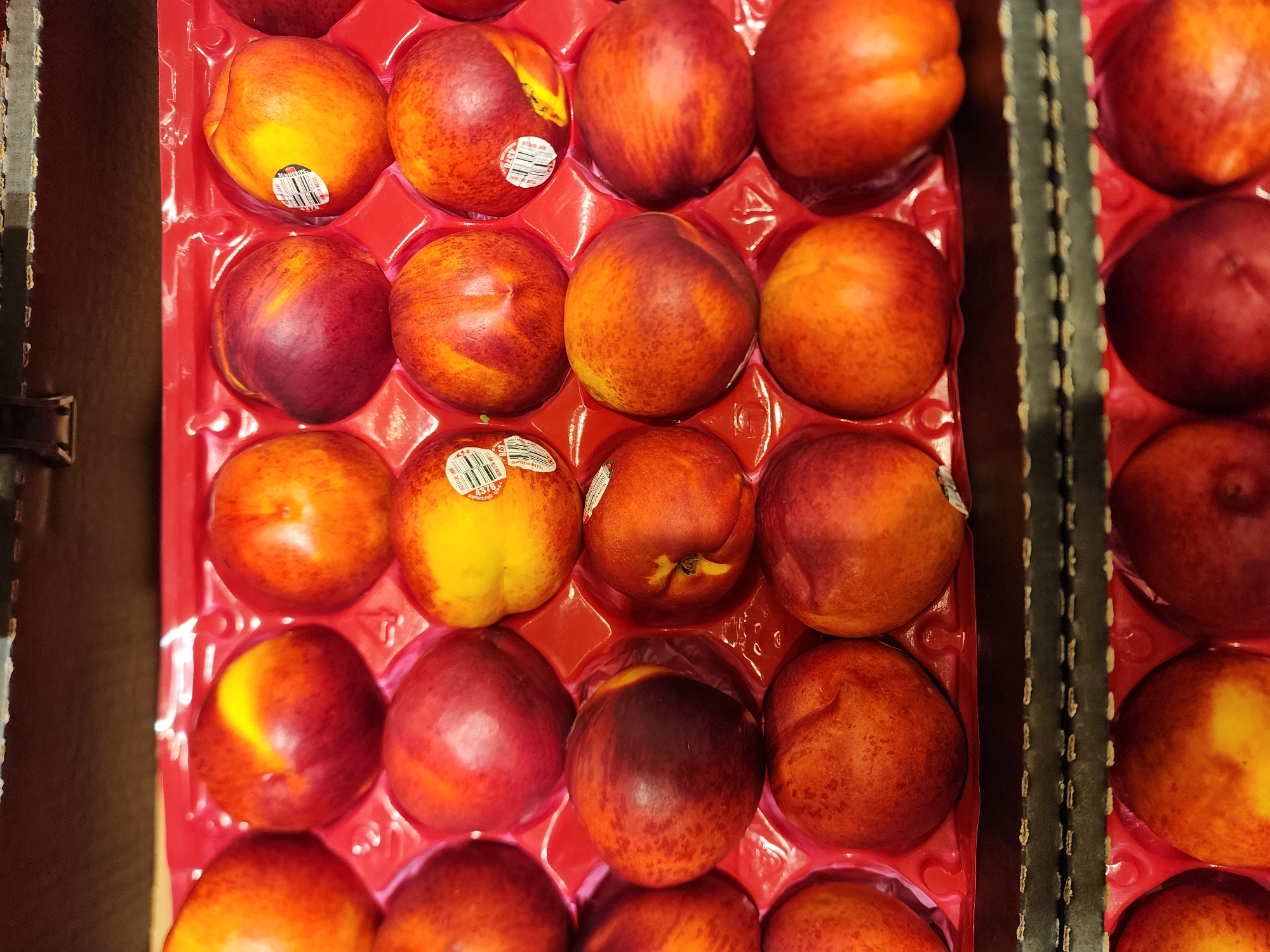 The image shows a close-up, overhead view of a red plastic tray filled with nectarines. The nectarines are arranged in rows, with each fruit nestled in a circular indentation. The fruits exhibit a range of colors, from bright yellow and orange to deep red and purple. Some of the nectarines have white stickers on them, which appear to be product labels with barcodes. The tray is placed inside a cardboard box, indicated by the brown cardboard visible at the top and bottom edges of the image. The lighting suggests an indoor setting, possibly a grocery store or a warehouse. The scene is static, with no people or discernible activity.