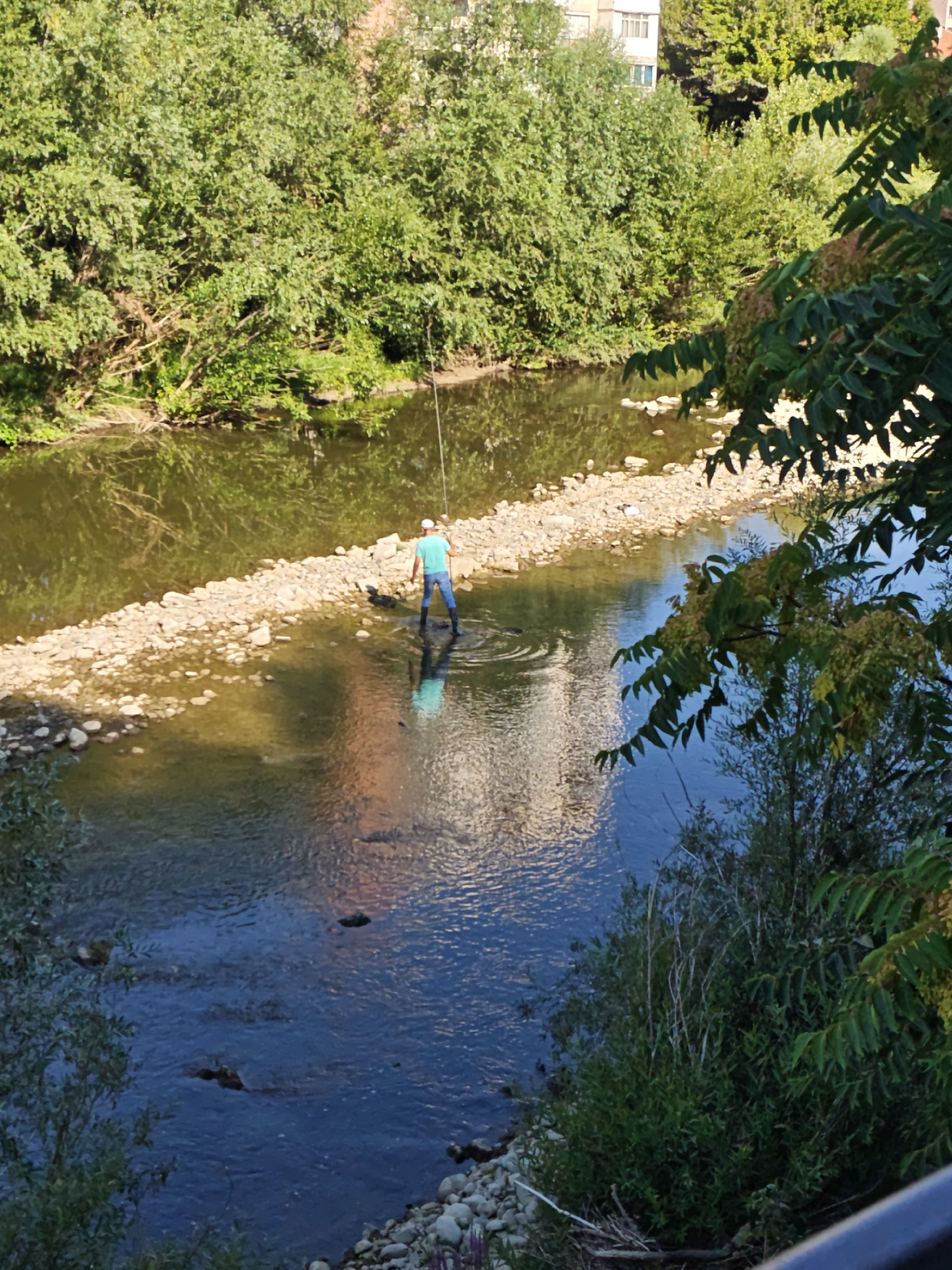 A person is fishing in the Osam River in Lovech, Bulgaria. The person is standing in the river, in shallow water, with a fishing rod. The river has a rocky bottom and is surrounded by trees and vegetation. In the background, there are buildings visible, indicating an urban setting. The sun is shining, casting reflections on the water.