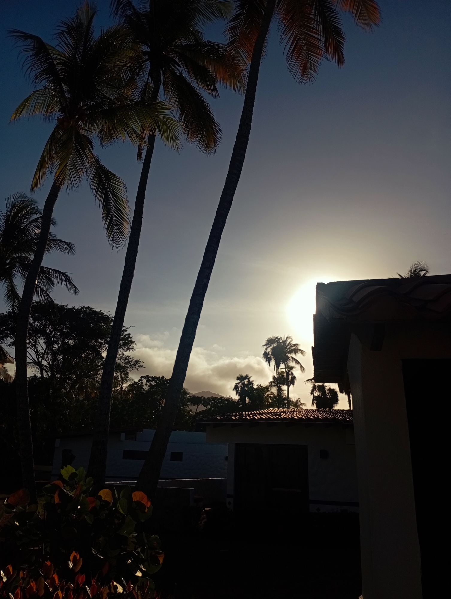 The image depicts a tropical environment in Playa El Agua, Venezuela, under the illumination of a low-angle sun, suggesting either sunrise or sunset. Several tall palm trees dominate the foreground and midground, their trunks and fronds largely silhouetted against the sky. The sun is visible as an intense, bright light source positioned low on the horizon, partially obscured on the right by the red-tiled roof and upper wall of a building. The sky transitions from a dark blue overhead to a bright white near the sun, with scattered clouds present, particularly above distant, silhouetted mountains visible on the horizon. The lower portion of the frame is filled with dense, dark foliage and bushes, with some immediate foreground leaves displaying reddish-orange illumination from the direct sunlight. Other buildings with light-colored walls and dark window openings are discernible in the midground. No human figures are depicted in the scene.