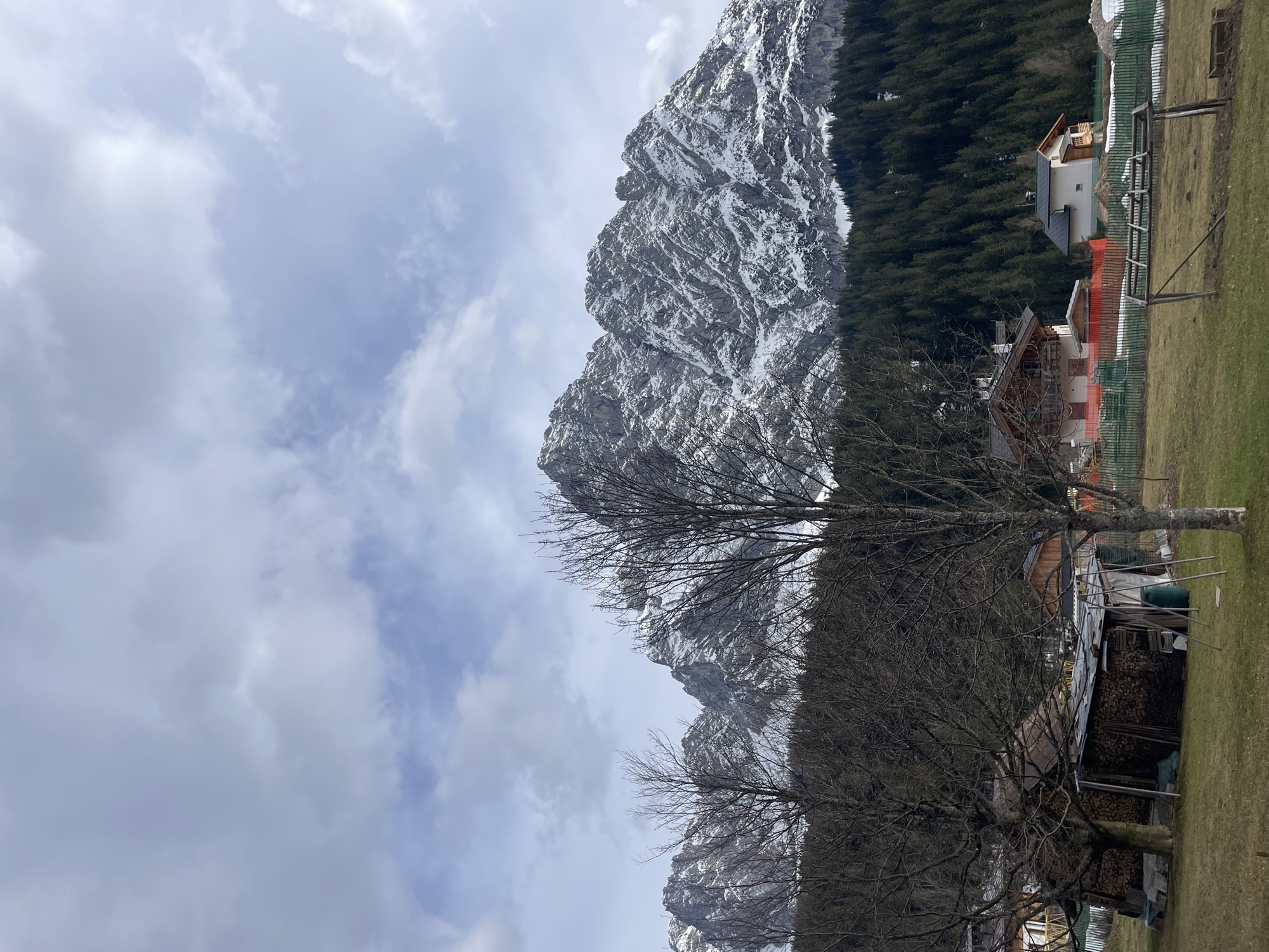 This image shows a view in Sappada, Italy, featuring a mountainous landscape. In the background, there is a tall mountain with patches of snow on its rocky surface, adjacent to a dense forest of evergreen trees. In the middle ground are several buildings and houses with characteristic architectural elements. In the foreground, there is a bare tree with intricate branches. The sky is overcast with a mix of light and dark clouds. The environment suggests a cold or early spring season.