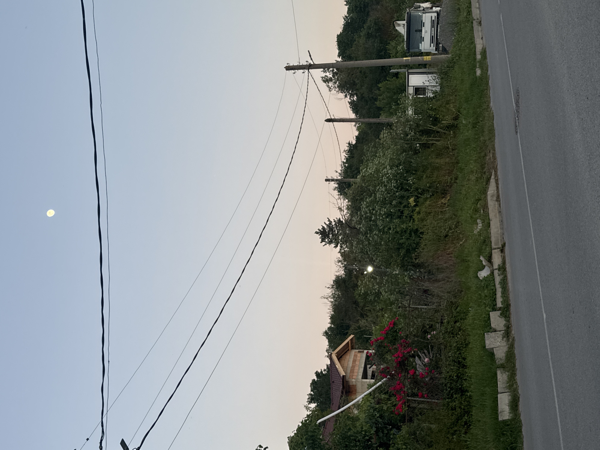 The image depicts a roadside scene at dusk. A two-story house is visible, partially obscured by trees and foliage. Red flowers are blooming near the house. Utility poles and wires stretch across the sky. A road runs along the right side of the frame. A truck is parked in the background. The moon is visible in the sky.
