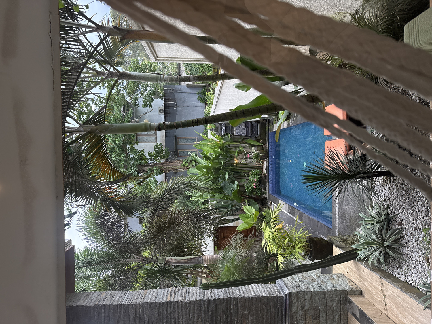 This image presents an elevated view of a tranquil tropical garden and swimming pool area, likely captured from a balcony or upper floor. The scene suggests a private resort or residential setting.
In the foreground, a white wall or balcony railing runs along the bottom-left, meeting a textured stone wall that spans the lower part of the frame. On the upper-right, several thick, white, rope-like structures hang vertically, partially obscuring the view and adding a decorative element.
The central feature is a rectangular, bright blue swimming pool with tiled edges. Two orange lounge chairs are positioned poolside on the right, while additional dark-colored loungers are visible on the left side of the pool. The ground surrounding the pool and planted areas is covered with light-colored pebbles or small stones.
The garden is rich with diverse tropical vegetation, including multiple tall palm trees with prominent trunks and fronds, various leafy plants, potted greenery, and several cacti or succulents. This lush foliage creates a dense, natural screen.
In the background, through and above the trees, parts of buildings are visible. One building displays multiple windows, and another features a gray wall with an external air conditioning unit. A wooden gate or door is also discernible amidst the greenery on the left side of the garden.
The lighting indicates daytime, appearing soft and diffused, suggesting either an overcast sky or the scene being in partial shade. No individuals are present, contributing to a sense of peace and privacy. The vibrant tropical flora and outdoor pool are strong indicators of a warm climate, aligning with the Kuta Selatan, Indonesia location context. There is no visible text in the image.