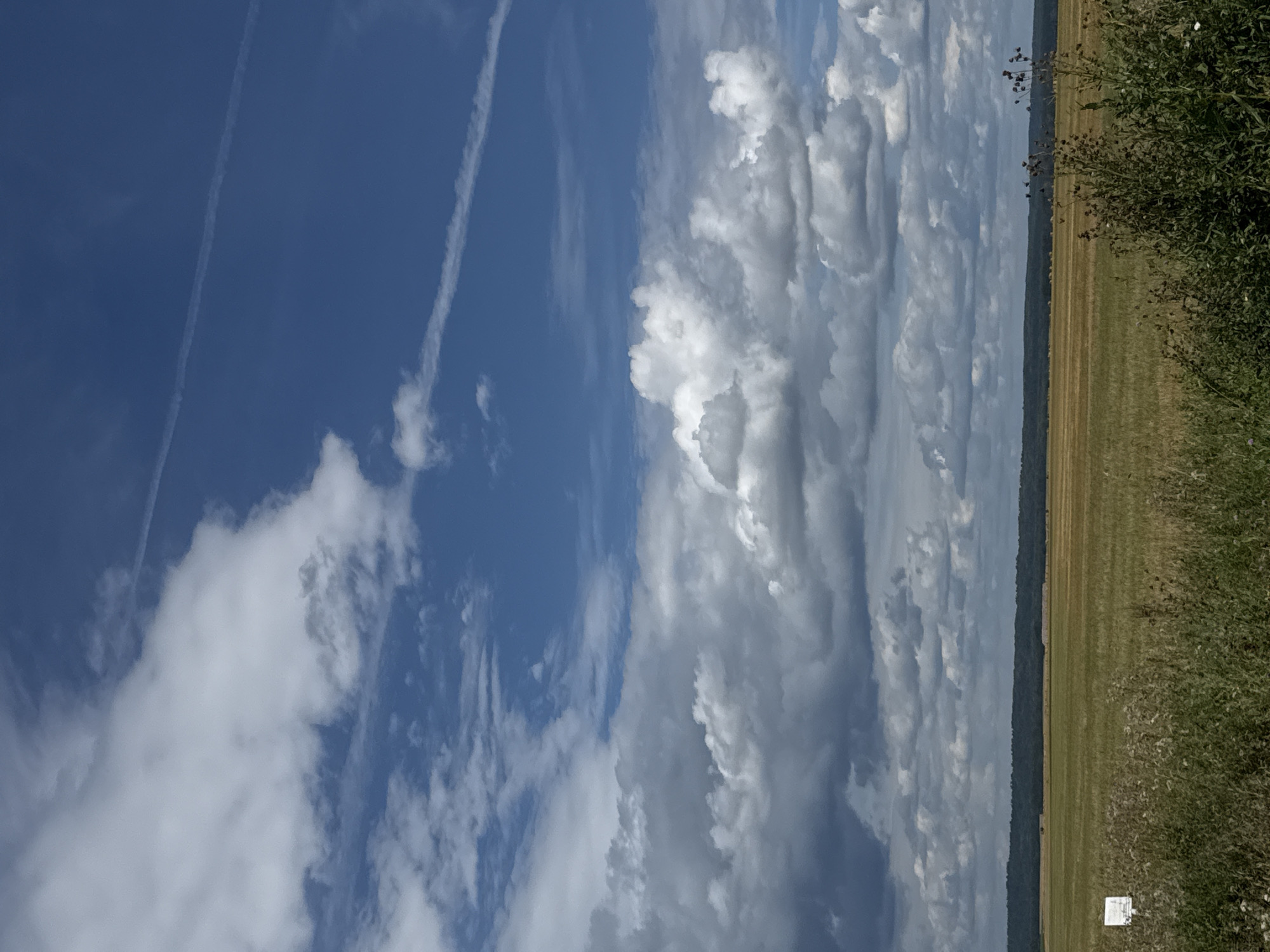 The image shows a rural landscape under a partly cloudy blue sky. In the foreground, there is tall, dry grass and some green bushes. A small white sign is visible on the left side of the frame. The middle ground features a vast, golden field, possibly of harvested crops or dry hay, with some structures or hay bales sparsely distributed. A dark green, treed horizon line stretches across the background, indicating distant hills or a forest. The sky is dynamic, with large, puffy white clouds interspersed with darker, more ominous gray clouds, suggesting varied weather conditions. There are also thin, wispy contrails from aircraft visible in the upper portion of the sky. The scene does not depict any people or specific actions. The overall impression is one of open space and natural elements.