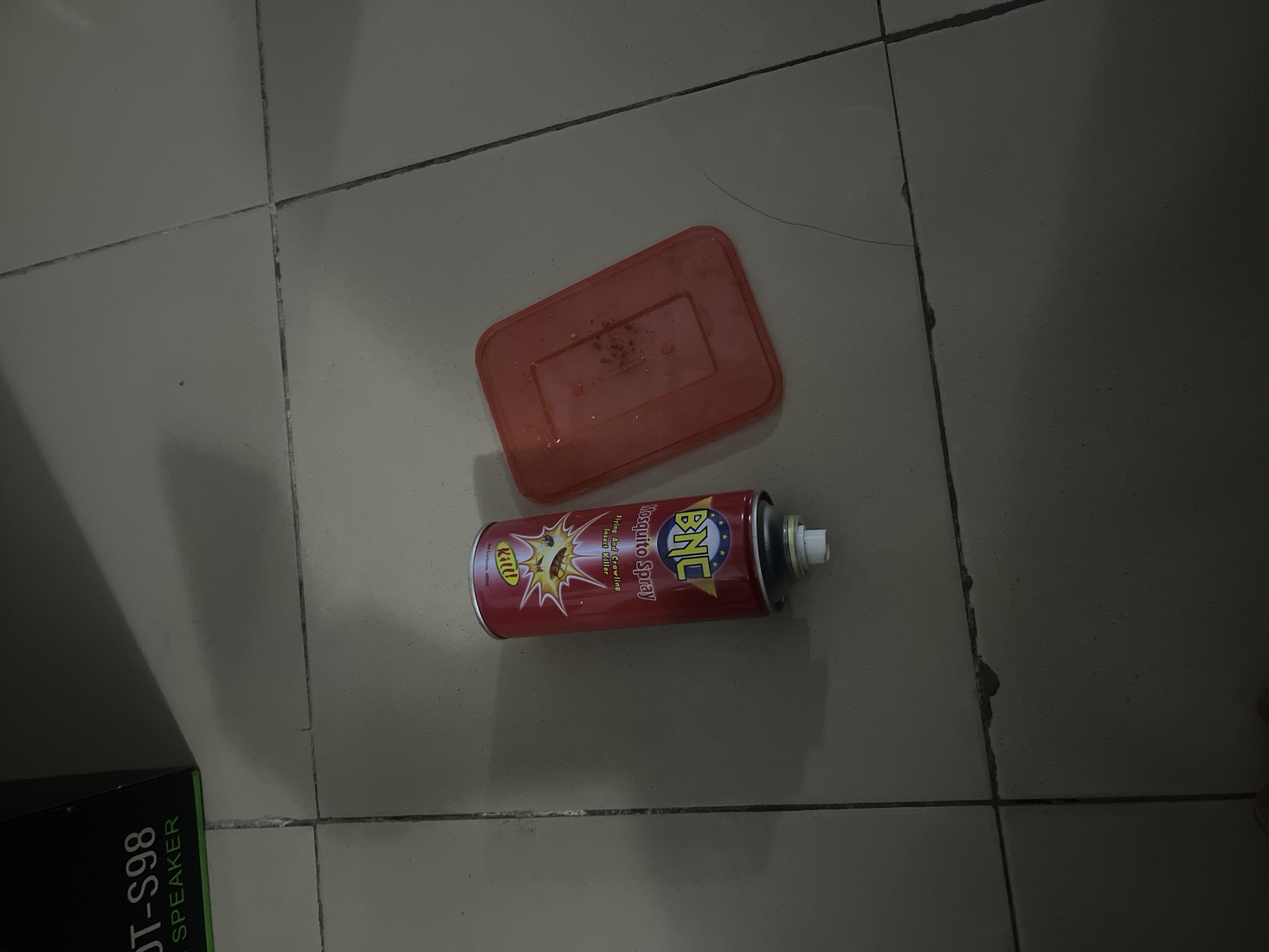 Memory