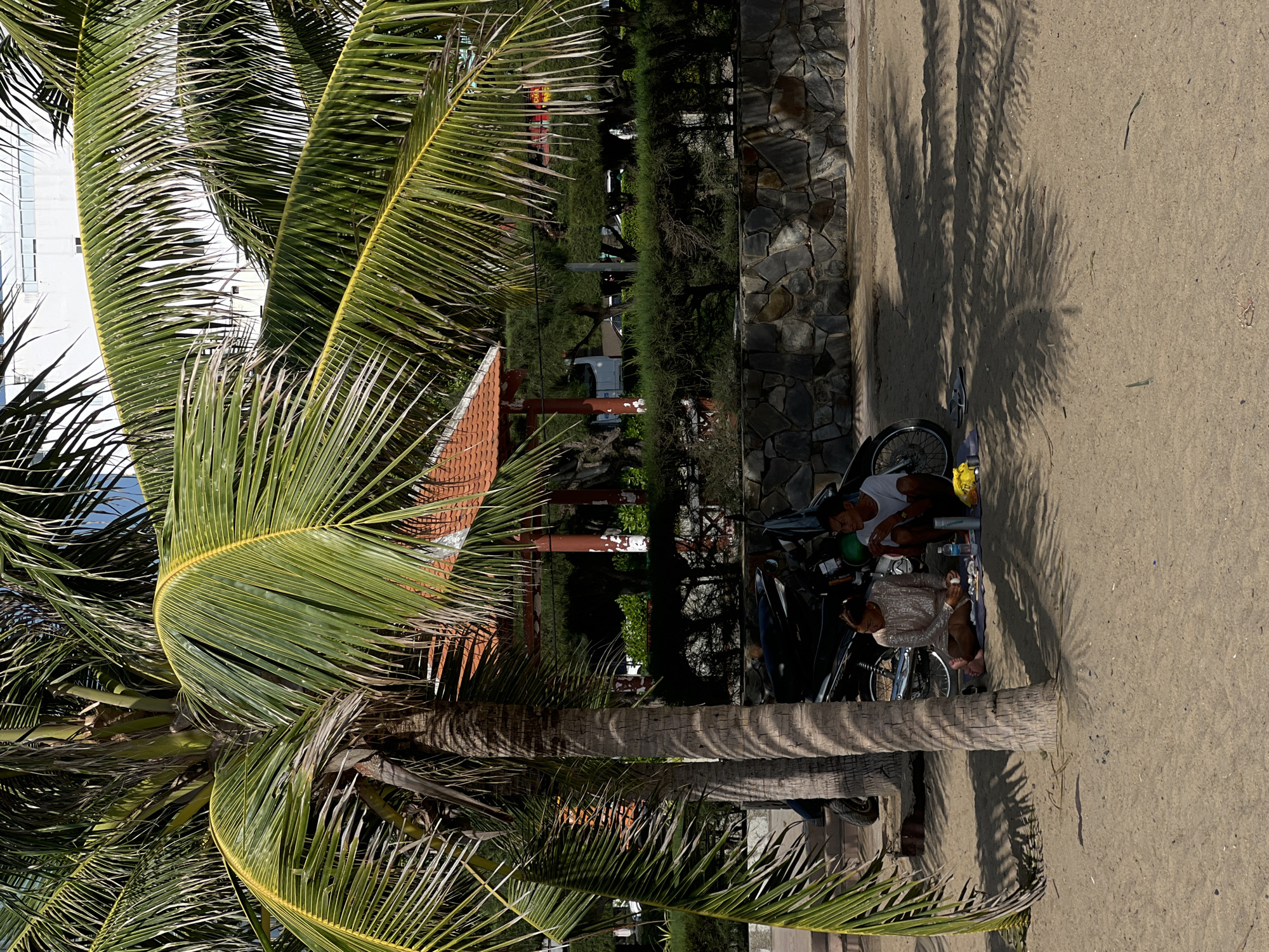 In Nha Trang Ward, Vietnam, two individuals are seated on the sand beneath the shade of a palm tree. A motorcycle is parked behind them. The ground is sandy, with the distinct shadows of palm fronds cast across it. In the background, a stone wall separates the beach area from a grassy area with trees and a red-roofed pavilion. A building is visible behind the trees.