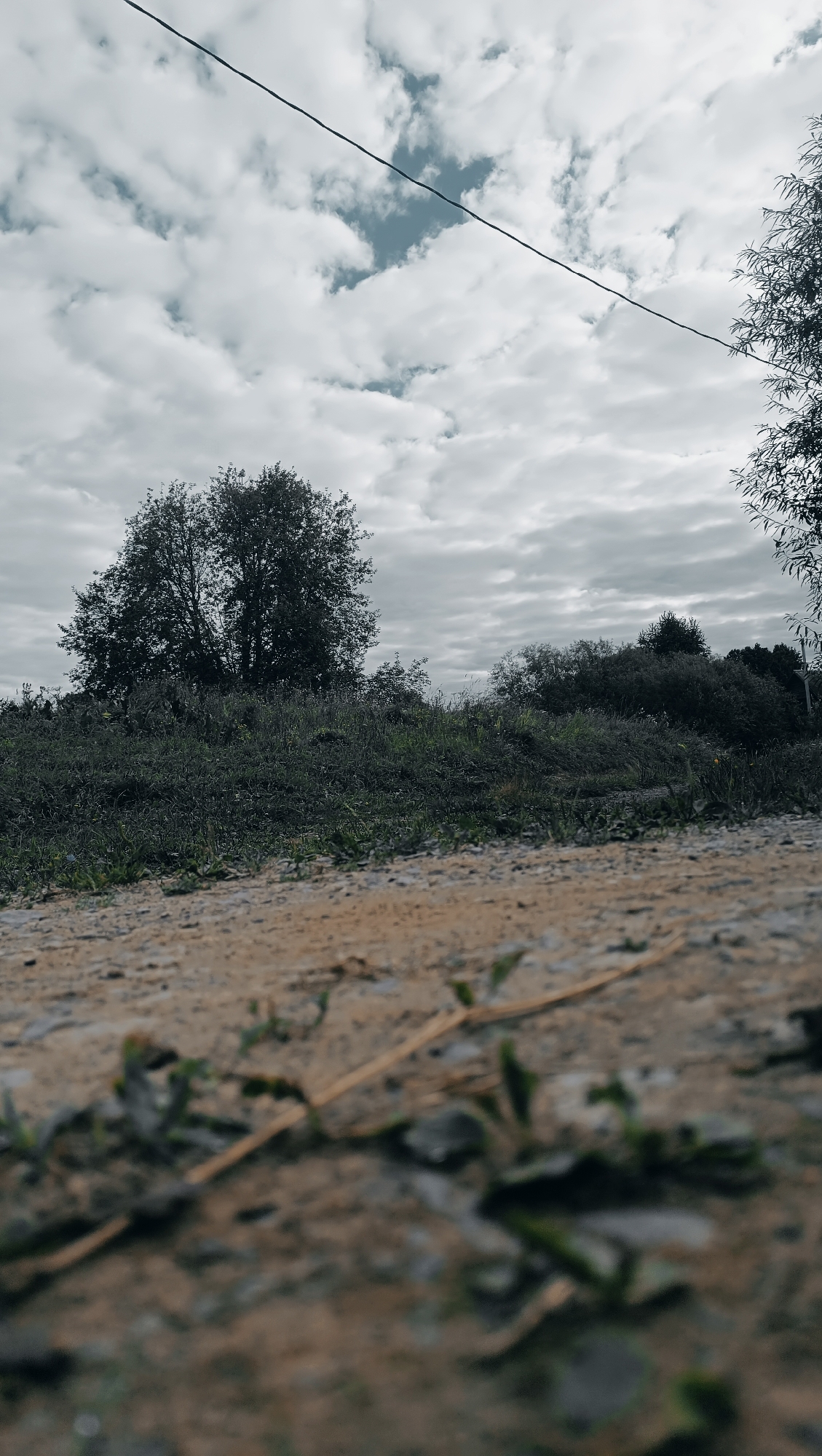 The image depicts a rural landscape with a dirt path in the foreground. A solitary tree stands in the middle ground, silhouetted against a cloudy sky. Dense foliage and various trees fill the background, suggesting a natural or undeveloped area. The lighting is overcast, creating a muted color palette. There are no people or animals visible in the frame. The location is identified as Karsha, Russia.