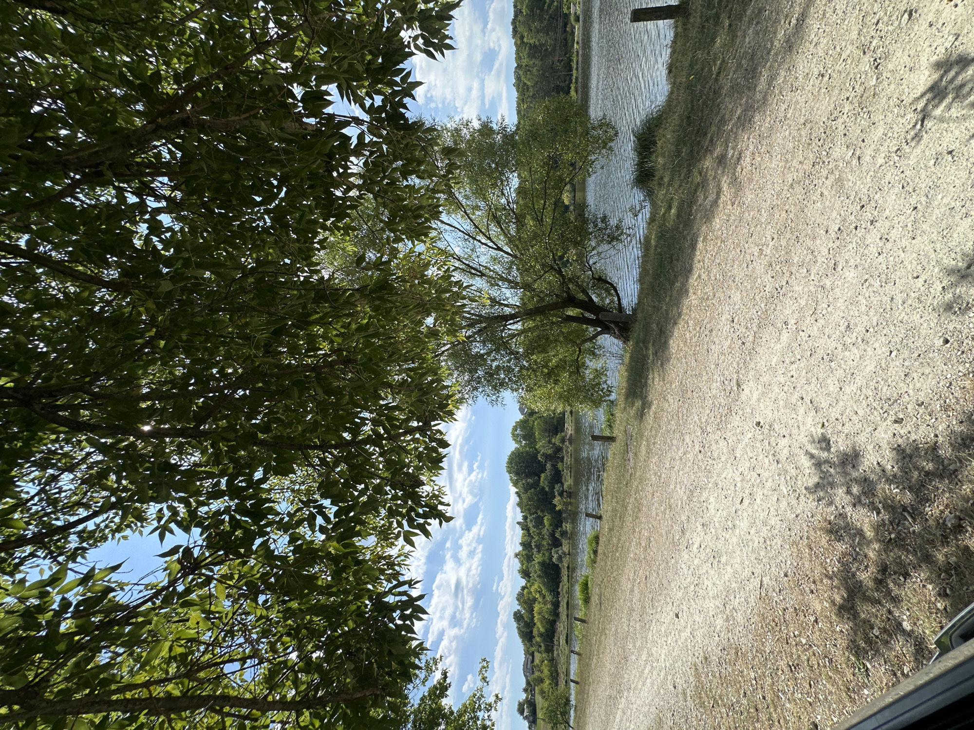 This image depicts a scenic view of a body of water, likely a lake or river, bordered by a gravel path and lush green trees. The foreground is dominated by the path, with shadows from overhead foliage dappling its surface. A large tree with drooping branches is visible on the right side, extending towards the water. The water itself appears calm, with gentle ripples reflecting the blue sky and scattered white clouds. Across the water, a dense line of trees forms the background, with glimpses of houses peeking through the foliage on a distant hillside. The overall impression is one of a tranquil natural setting, possibly a park or recreational area. While the specific location within Makiv, Ukraine is not explicitly identifiable from the visual cues alone, it suggests a rural or suburban area characterized by abundant green spaces and waterways.