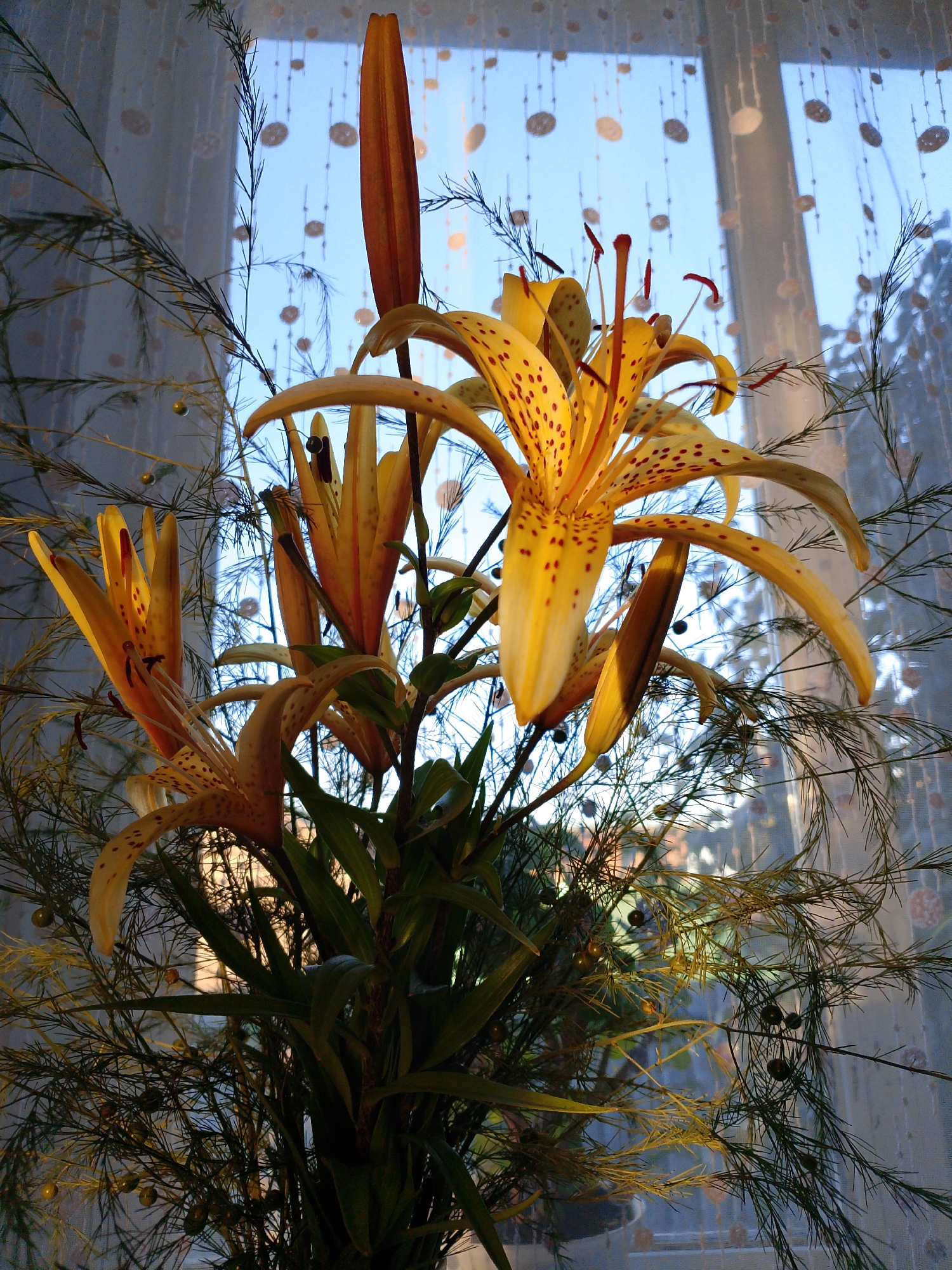 A close-up, low-angle shot captures a bouquet of yellow lilies with reddish-brown spots against a backdrop of a window with sheer curtains. The lilies are in various stages of bloom, with some fully open and others still in bud. Delicate green foliage and thin, branching stems surround the flowers. The sheer curtains have a pattern of circular motifs, and light filters through them, creating a soft, diffused glow. Beyond the curtains, the sky appears blue, suggesting it is daytime. The overall impression is of a still life, with a focus on the natural beauty of the flowers. The location is specified as Закалтус, Russia, though no specific urban features are visible within the frame.