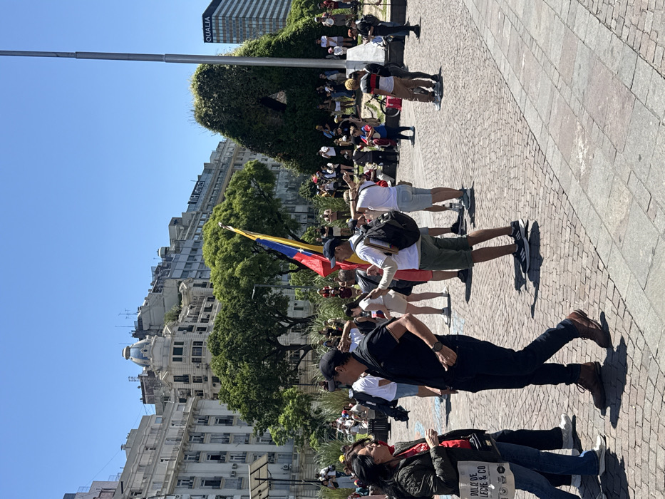 The image depicts an outdoor public gathering in Plaza San Martín, Buenos Aires, Argentina, under a clear blue sky on a sunny day. The foreground shows a paved area composed of reddish-brown cobblestones and lighter grey square pavers. A woman, visible on the left, wears a dark green jacket over a red shirt, blue jeans, and glasses, and carries a white tote bag with "DULCE DE LECHE & CO" printed on it. She faces a man in a black baseball cap, black polo shirt, dark jeans, and brown boots, who is walking right-to-left while looking towards her. To their right, a man in a white short-sleeved shirt, olive green shorts, and a black backpack holds a pole from which a Venezuelan flag (yellow, blue, and red horizontal stripes with an arc of stars) is displayed.
In the midground and background, a crowd of approximately 50-70 individuals, primarily adults, is dispersed across the plaza, standing and observing. Further back, a cluster of green trees is visible. To the right, a distinctive, large, 'A'-shaped structure heavily covered in green moss or ivy stands prominently. The background consists of multi-story urban buildings, exhibiting both classical and modern architectural styles. Specific signage, including "NH HOTELS" and "QUALIA," is visible on some of these buildings. A tall, grey street light pole is present on the far right of the frame. Bright sunlight casts distinct shadows from the people and structures onto the plaza surface.